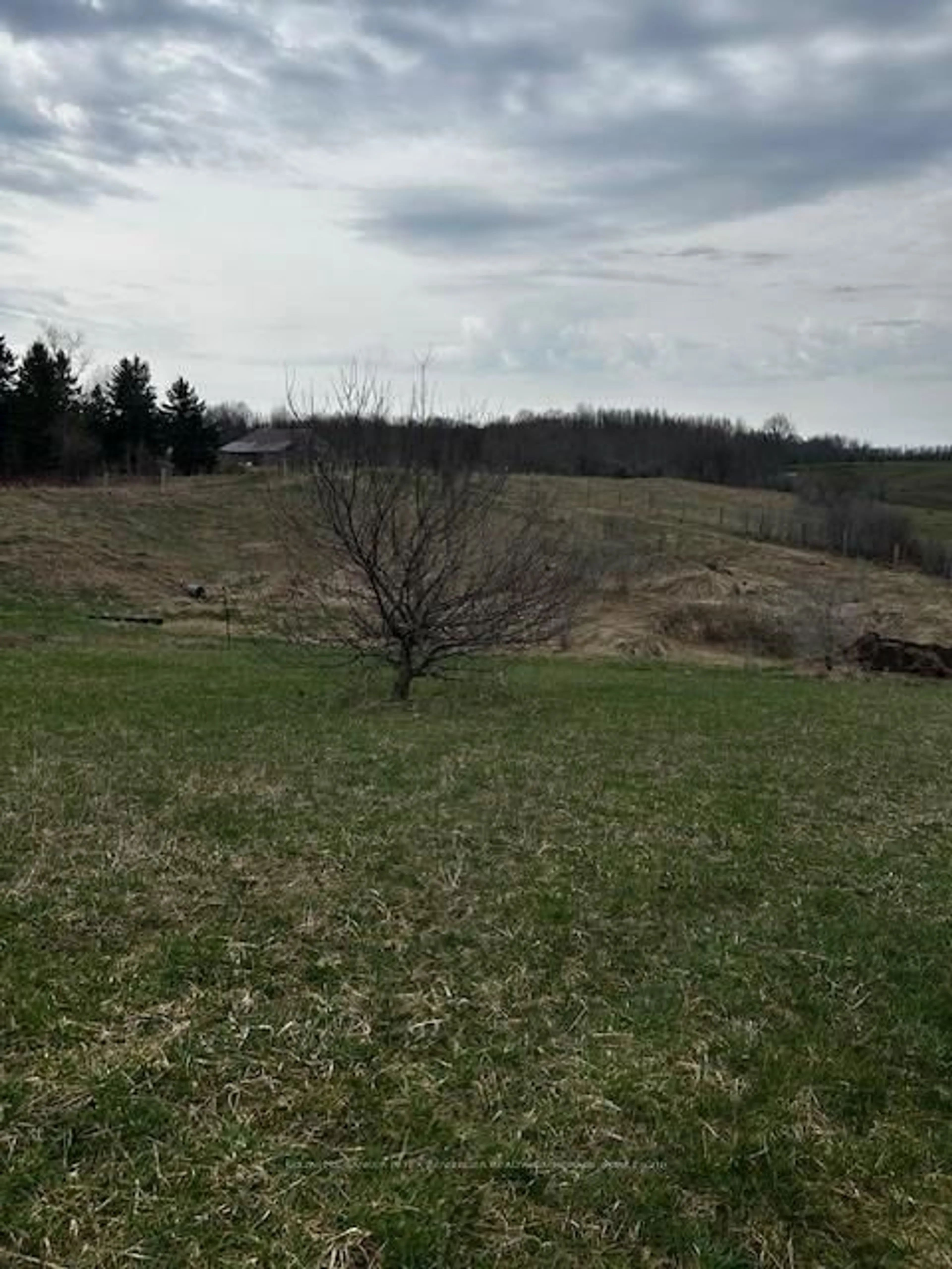 A pic from outside/outdoor area/front of a property/back of a property/a pic from drone, forest/trees view for 207 CONCESSION ROAD 2 N/A, Saugeen Shores Ontario N0G 2N0