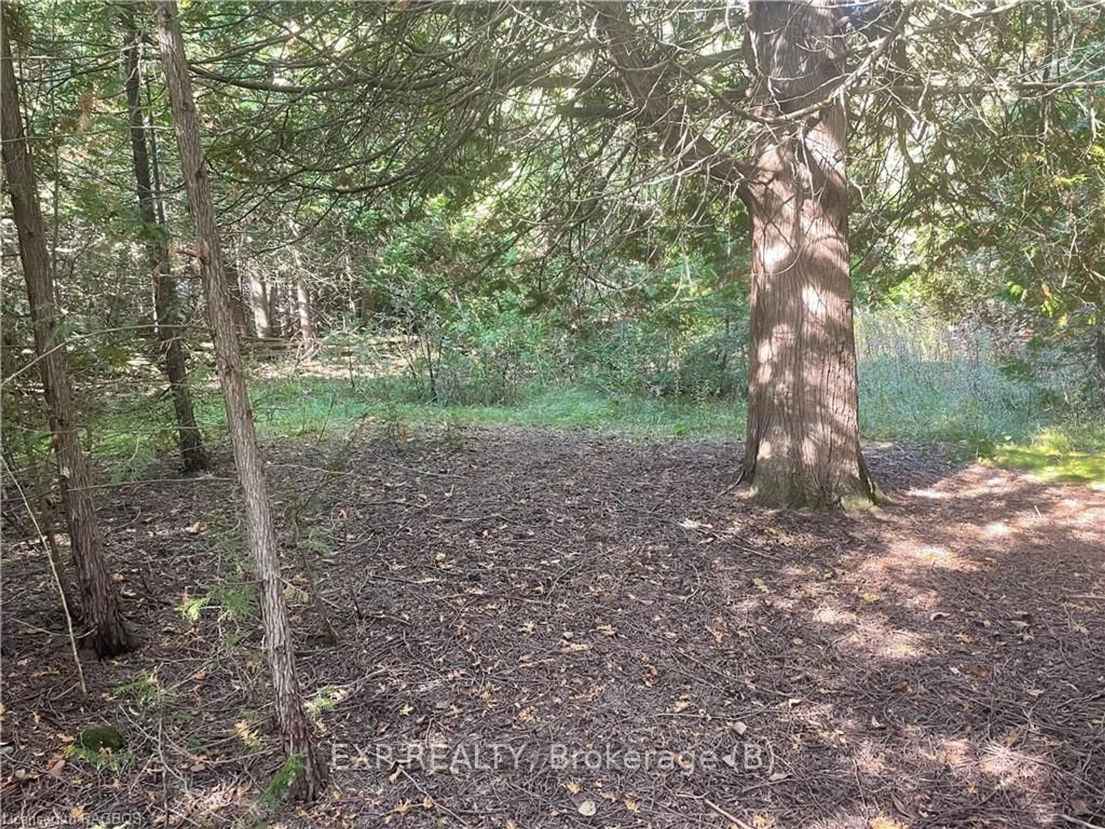 A pic of a room, unknown floor for LOT 25 CONCESSION ROAD 10, West Grey Ontario N0G 1S0