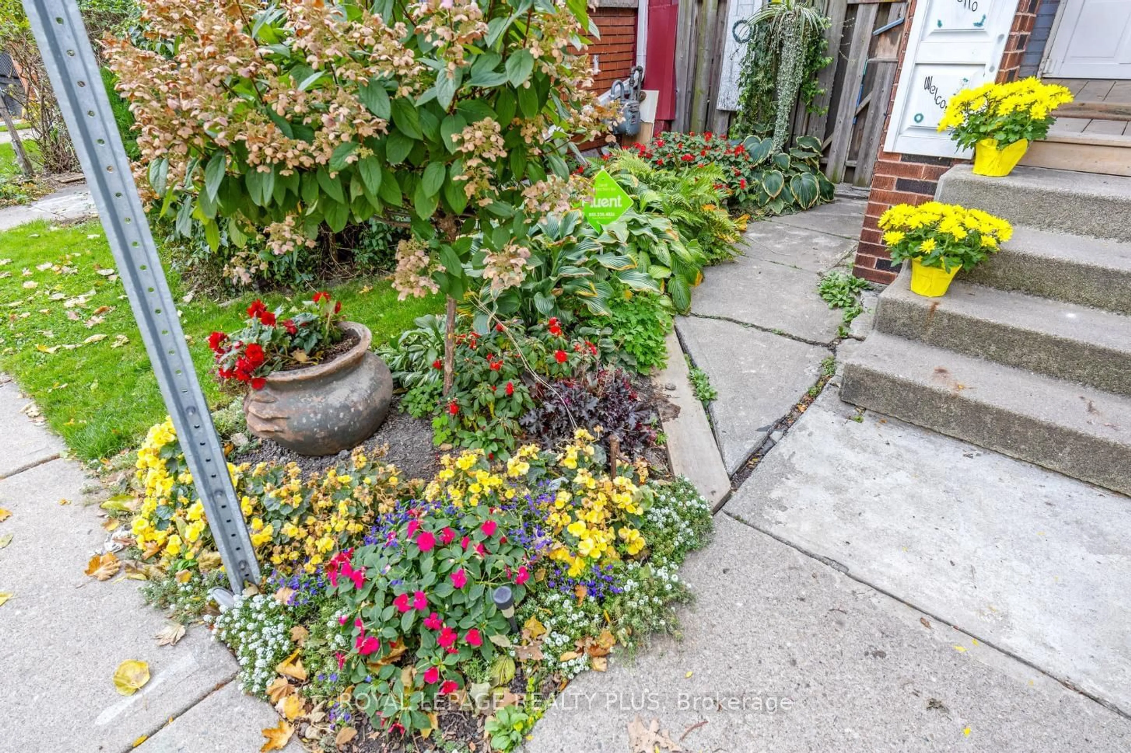 Patio, the street view for 16 Case St, Hamilton Ontario L8L 3G7