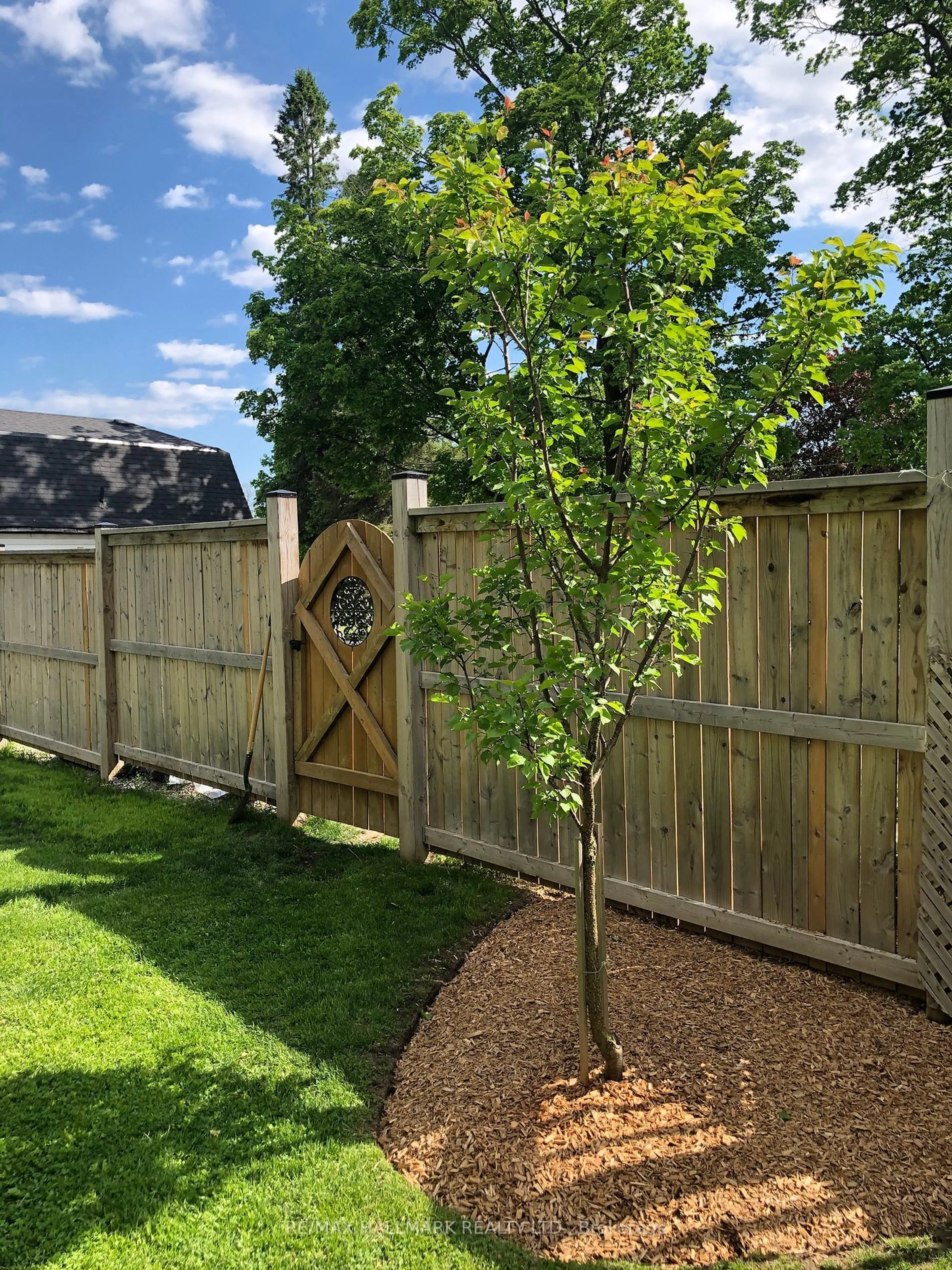 Patio, the fenced backyard for 157 Norway St, Cramahe Ontario K0K 1M0