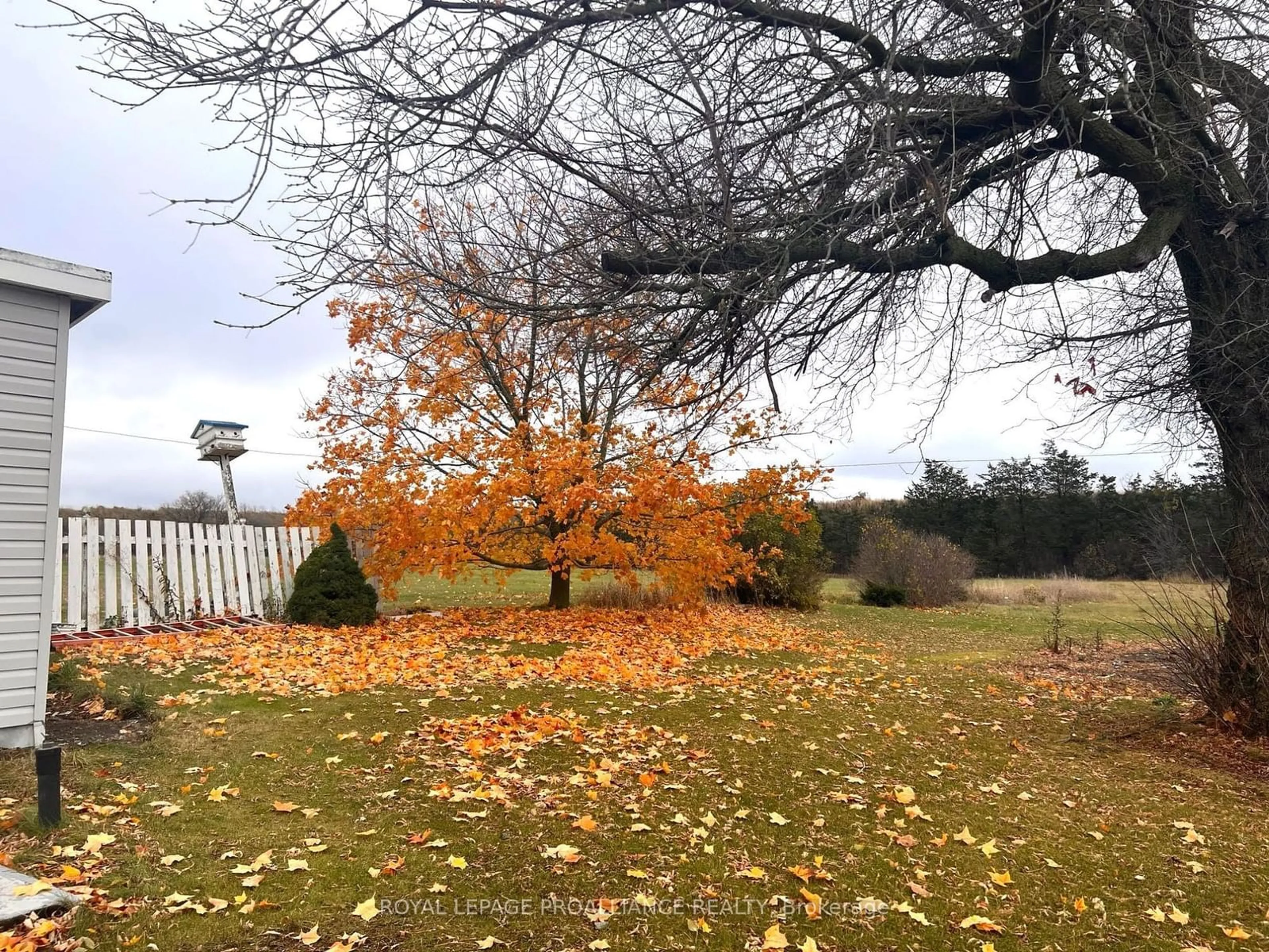 A pic from exterior of the house or condo, the fenced backyard for 154 Elmbrook Rd, Prince Edward County Ontario K0K 2T0