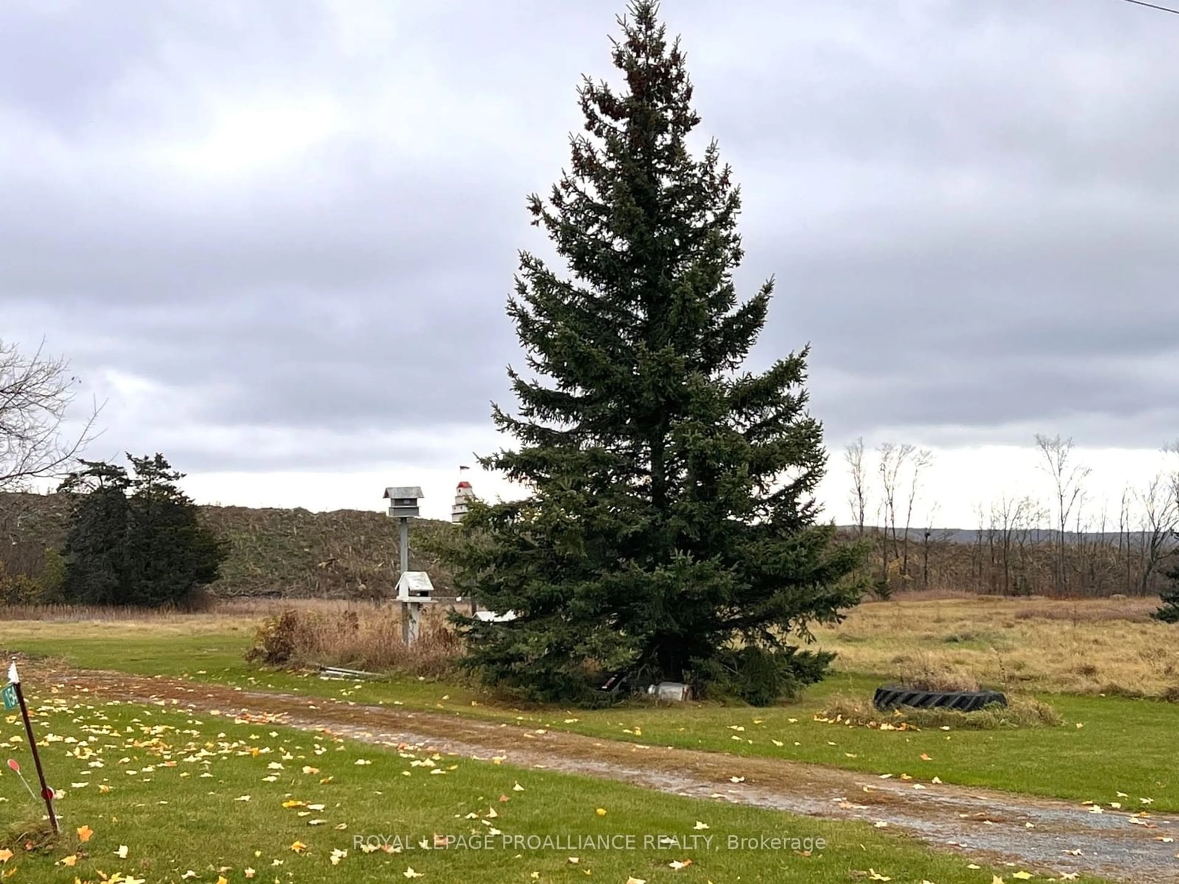 A pic from exterior of the house or condo, the fenced backyard for 154 Elmbrook Rd, Prince Edward County Ontario K0K 2T0