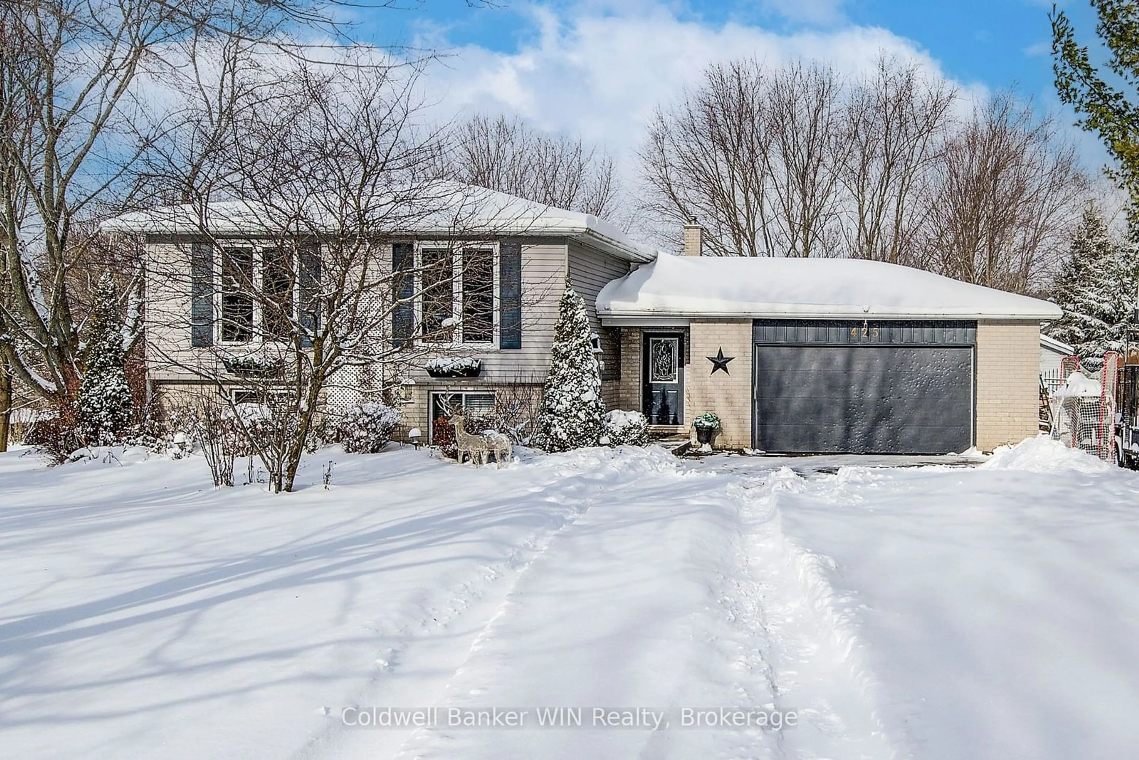 Frontside or backside of a home, the street view for 425 Clyde St, Wellington North Ontario N0G 2L3