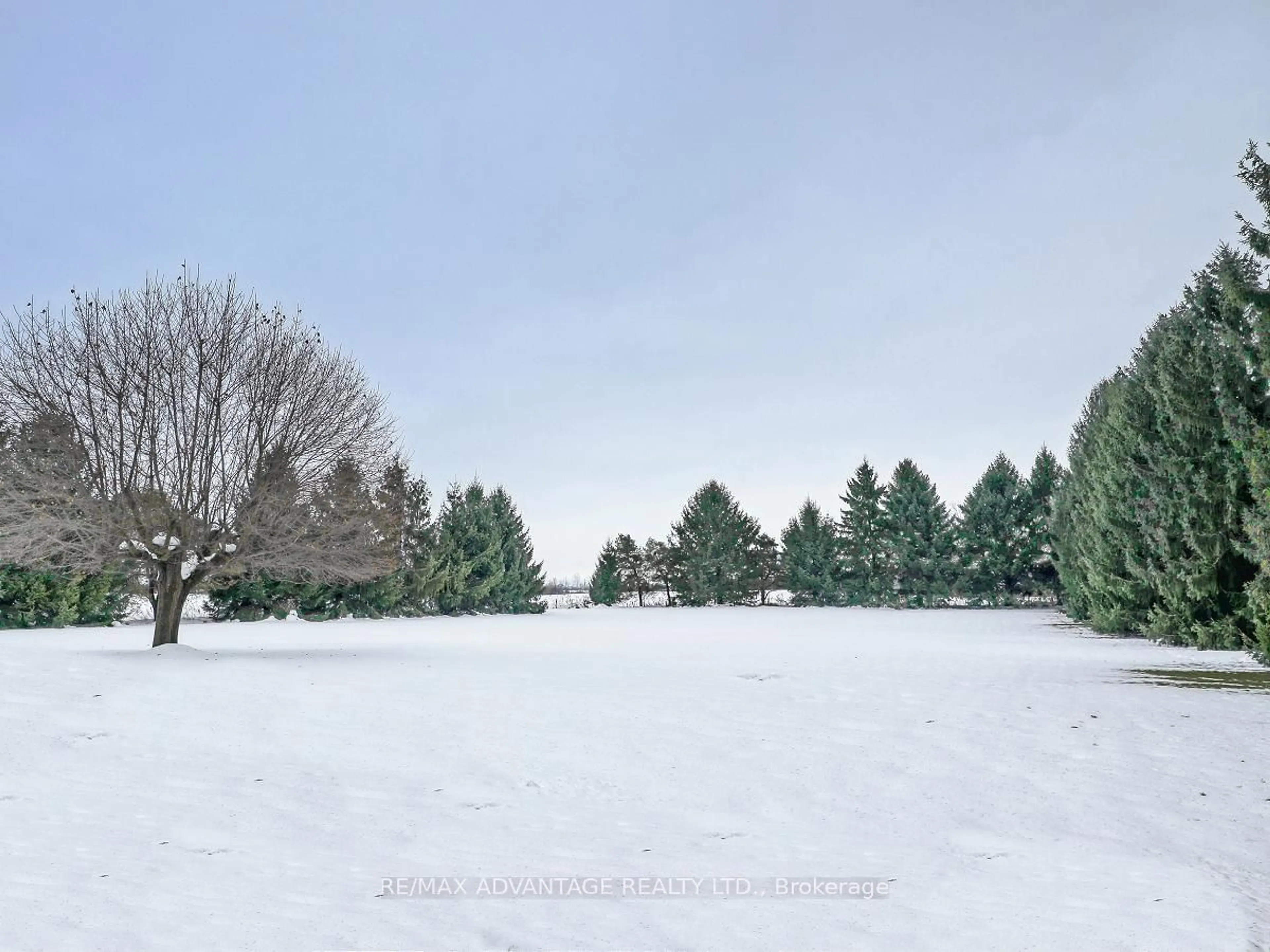 Frontside or backside of a home, the fenced backyard for 2047 Hamilton Rd, London Ontario N6M 1G1