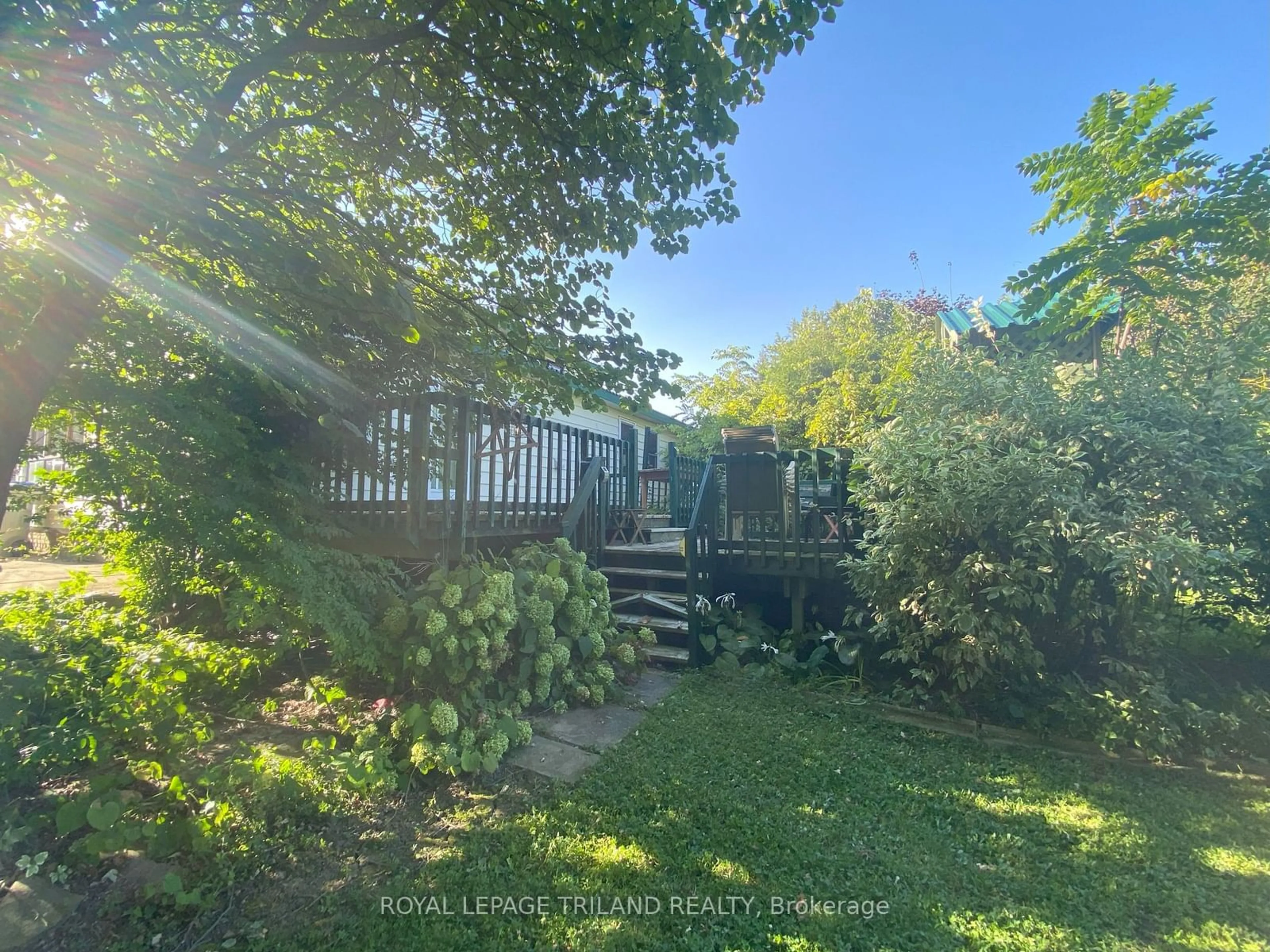 A pic from outside/outdoor area/front of a property/back of a property/a pic from drone, forest/trees view for 295 Wall St, Warwick Ontario N0M 2S0