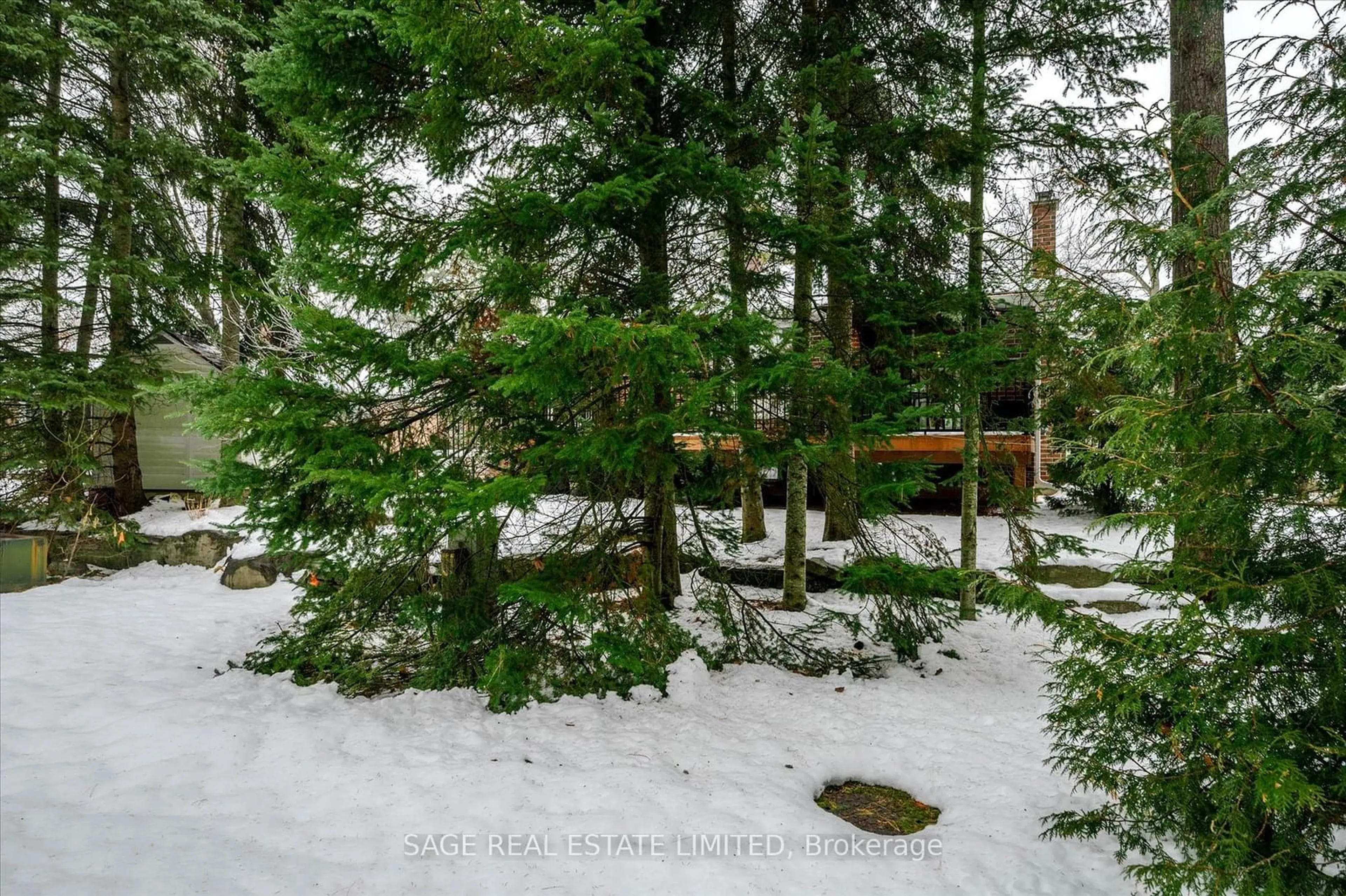 A pic from outside/outdoor area/front of a property/back of a property/a pic from drone, forest/trees view for 17 Patricia Pl, Kawartha Lakes Ontario K0M 1A0