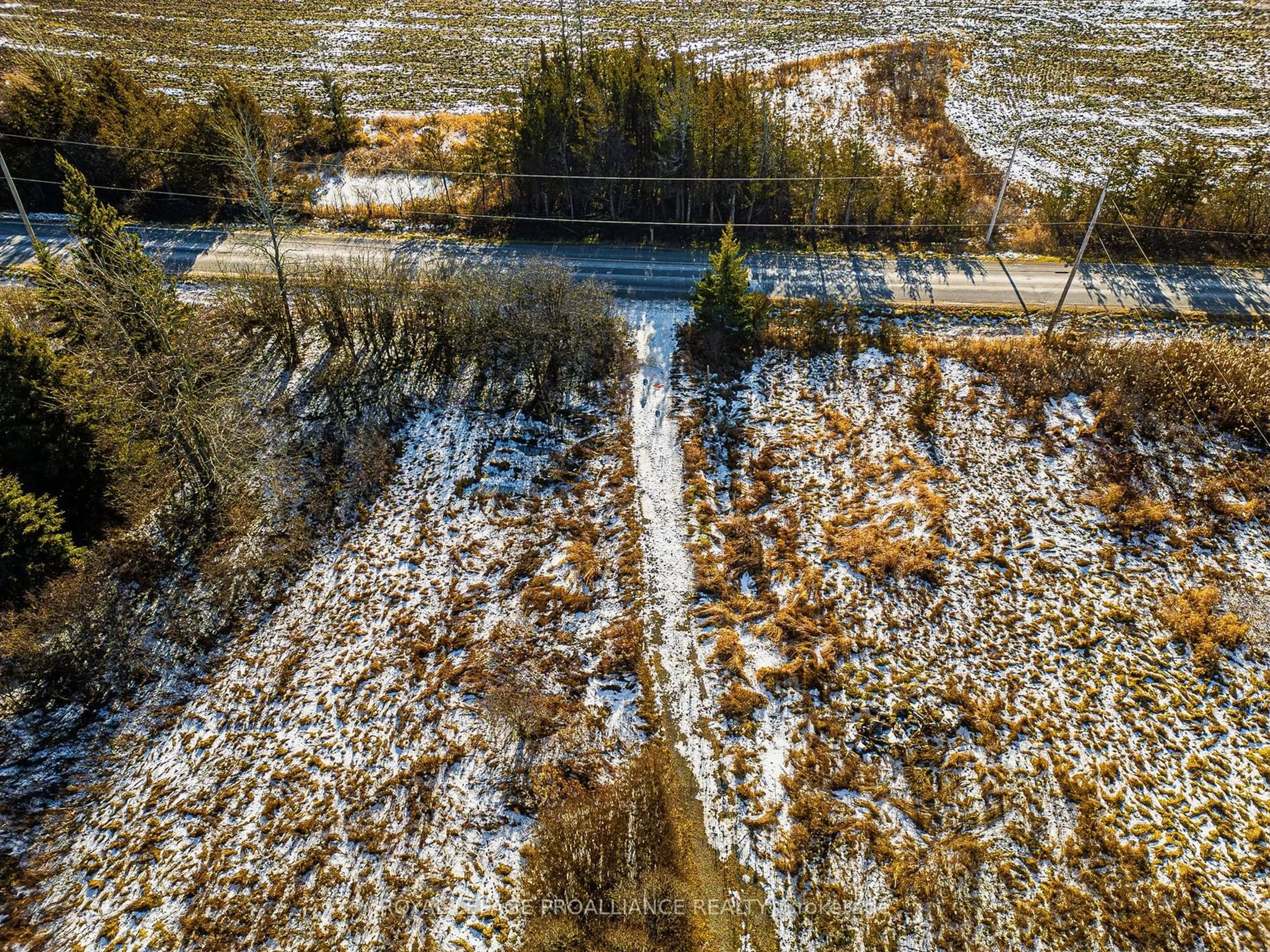 A pic from outside/outdoor area/front of a property/back of a property/a pic from drone, forest/trees view for 611 Callaghan Rd, Tyendinaga Ontario K0K 2N0