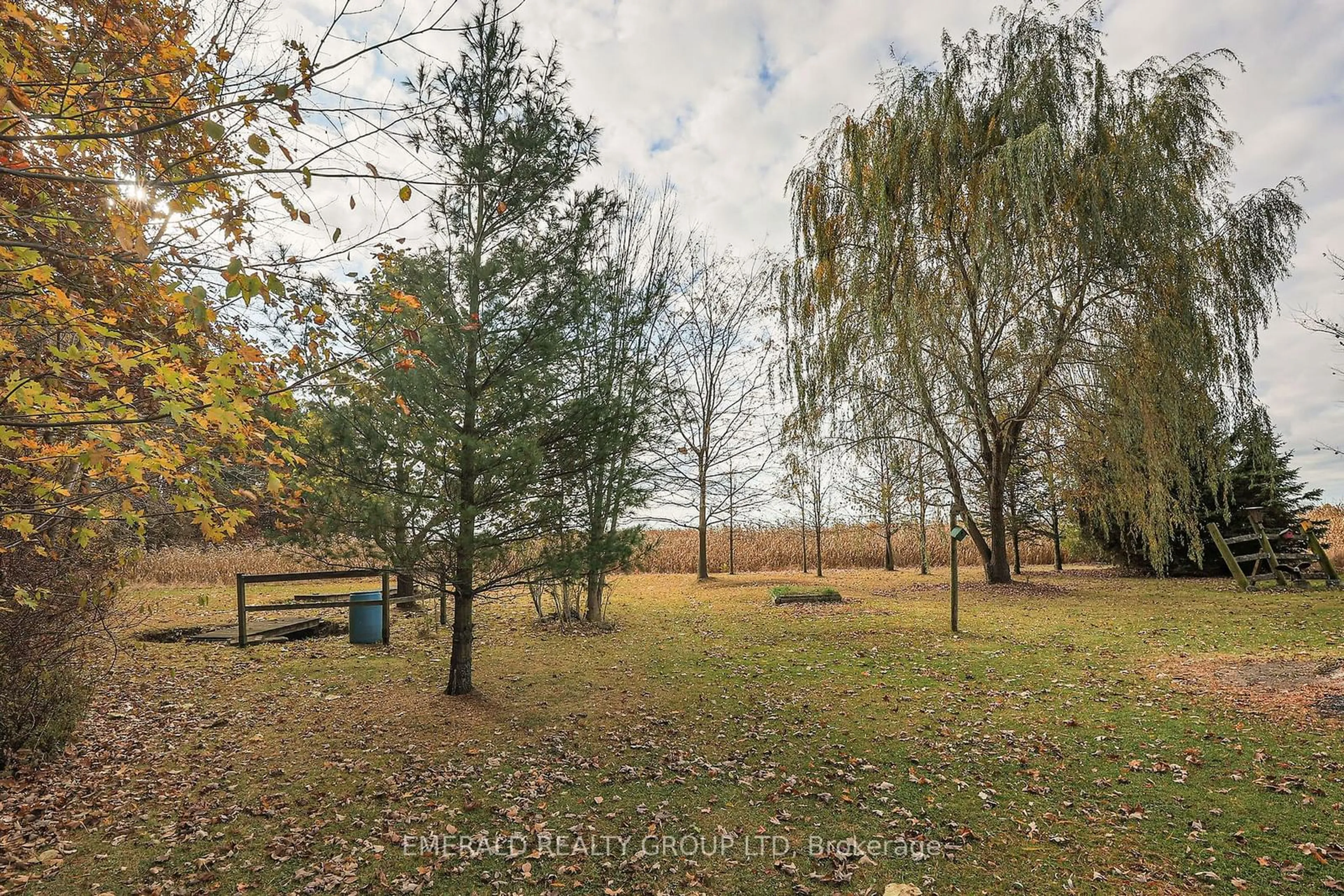 A pic from outside/outdoor area/front of a property/back of a property/a pic from drone, forest/trees view for 52963 Wilford Rd, Wainfleet Ontario L0R 2J0