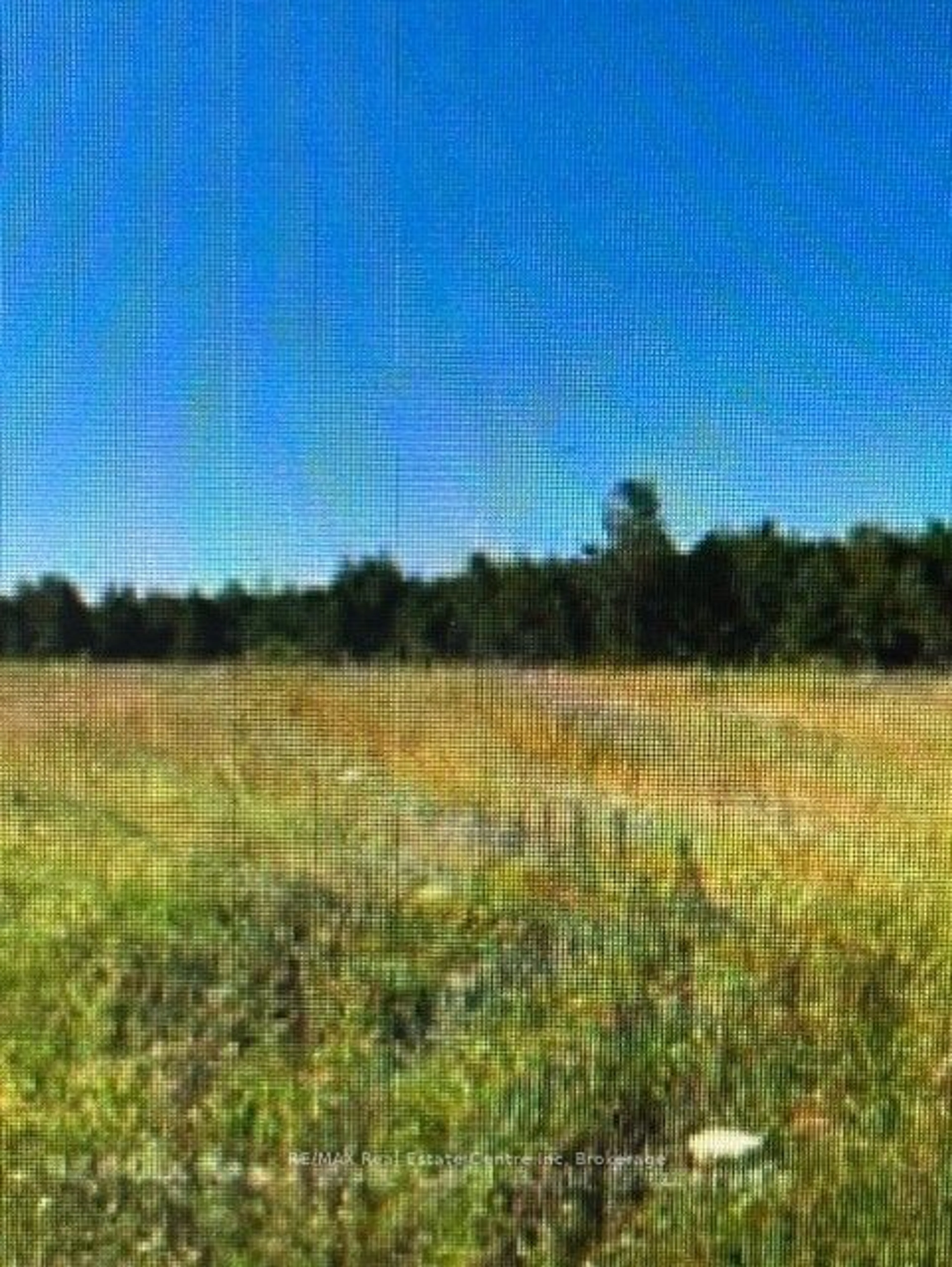 Blurry image for 755 Stone Rd, Guelph Ontario N1L 1B8