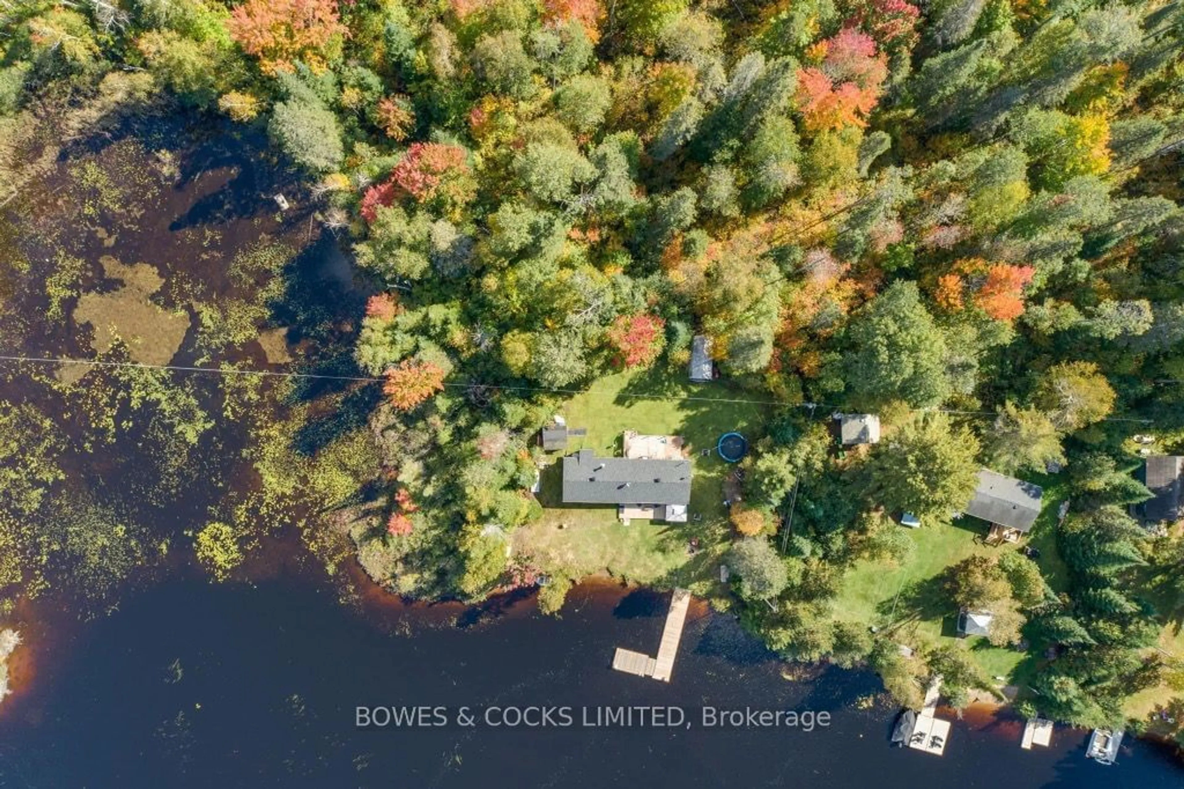 A pic from outside/outdoor area/front of a property/back of a property/a pic from drone, water/lake/river/ocean view for 40 Paradise Island, Hastings Highlands Ontario K0L 1C0