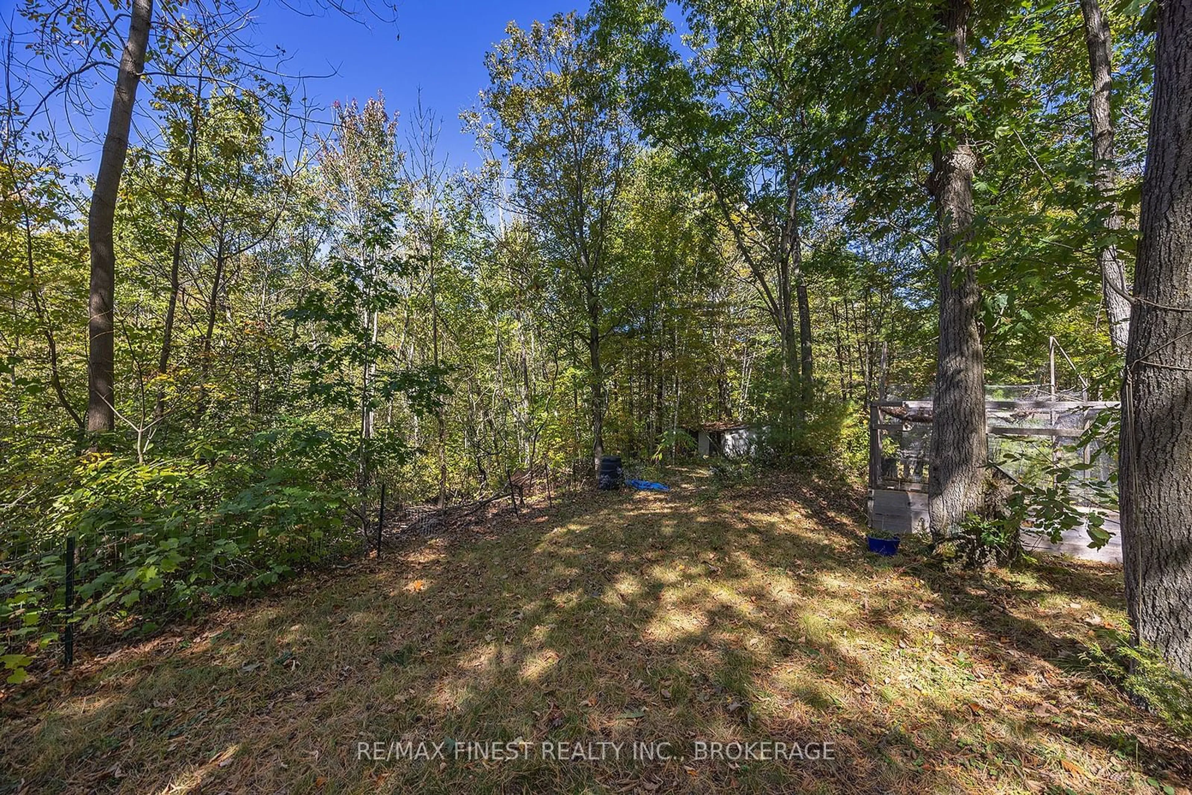 A pic from outside/outdoor area/front of a property/back of a property/a pic from drone, forest/trees view for 1198 NARROWS Lane, South Frontenac Ontario K0H 2L0