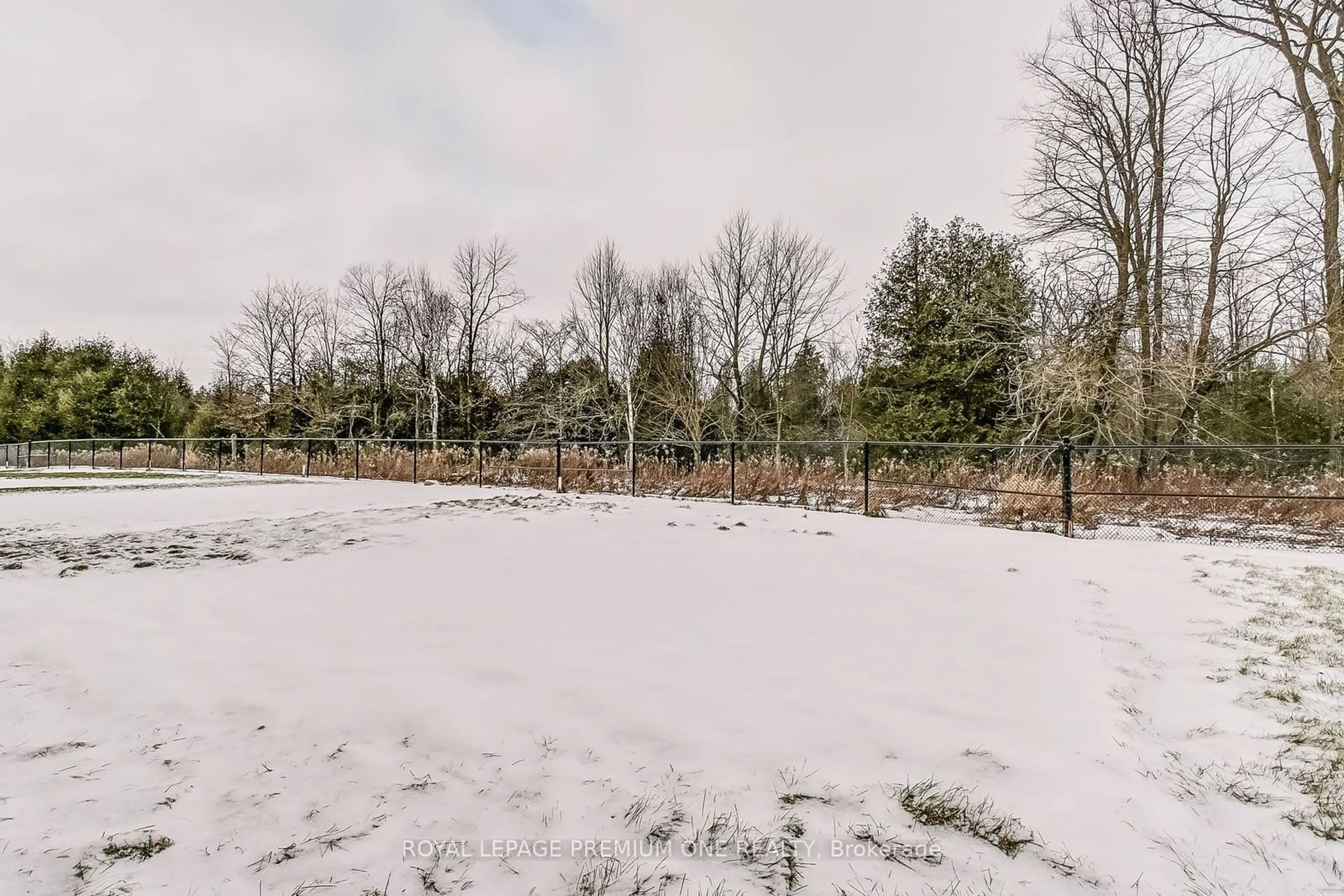 A pic from outside/outdoor area/front of a property/back of a property/a pic from drone, forest/trees view for 250 Chippewa Ave, Shelburne Ontario L9V 3Y3