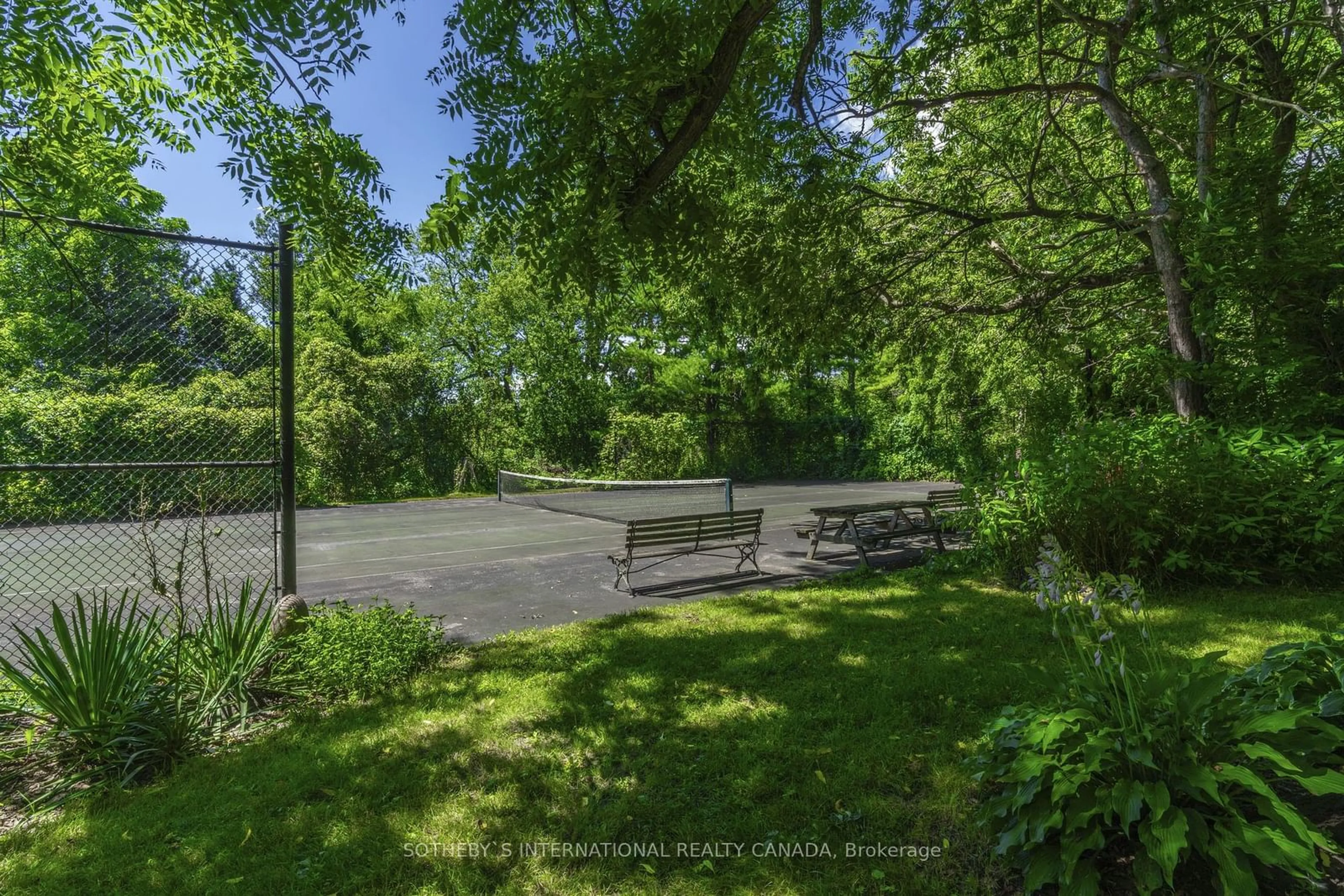 Patio, forest/trees view for 366 Lakeshore Rd, Port Hope Ontario L1A 1R3