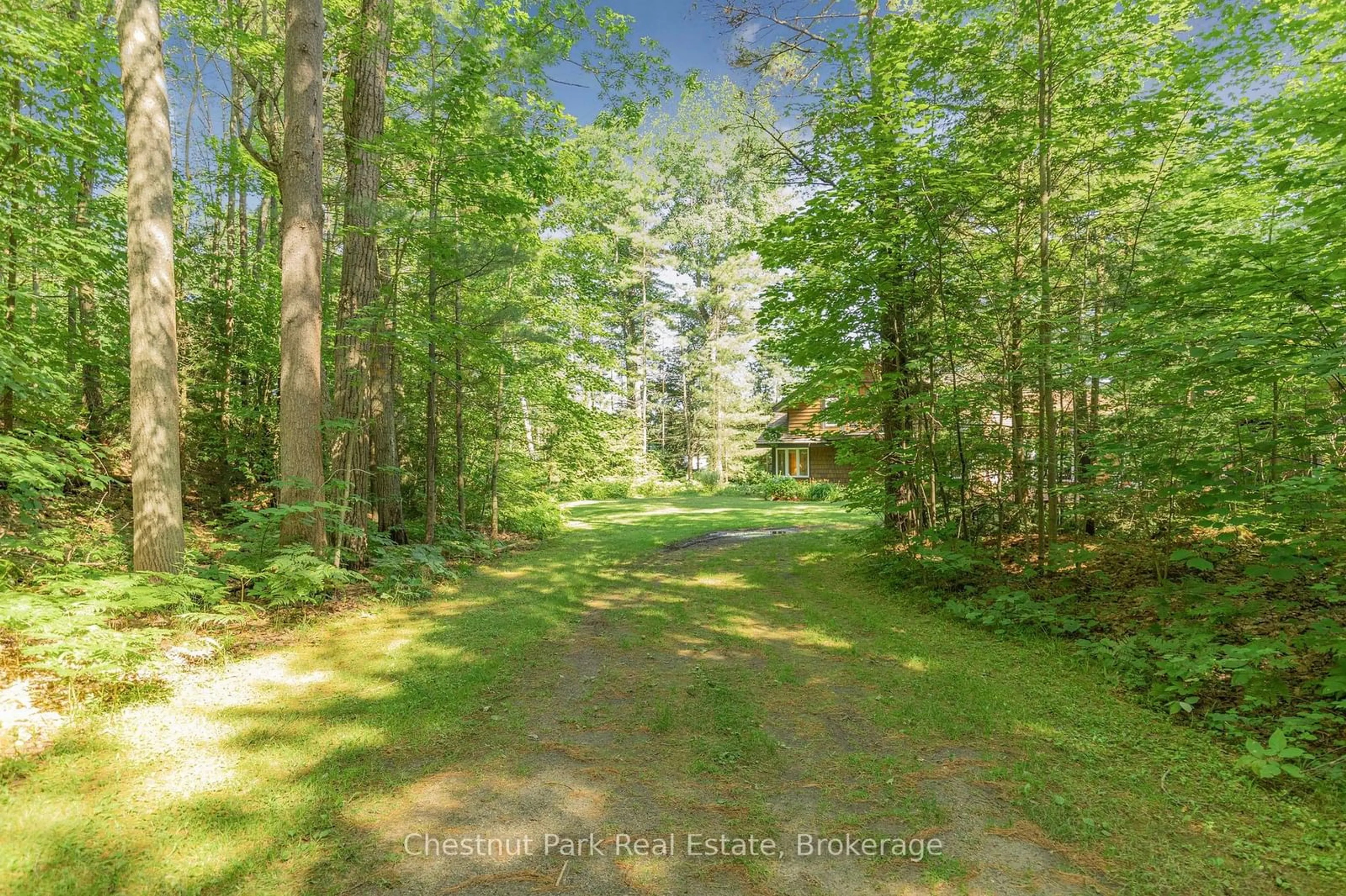 A pic from outside/outdoor area/front of a property/back of a property/a pic from drone, forest/trees view for 1335 NARROWS Rd, Gravenhurst Ontario P1P 1R2