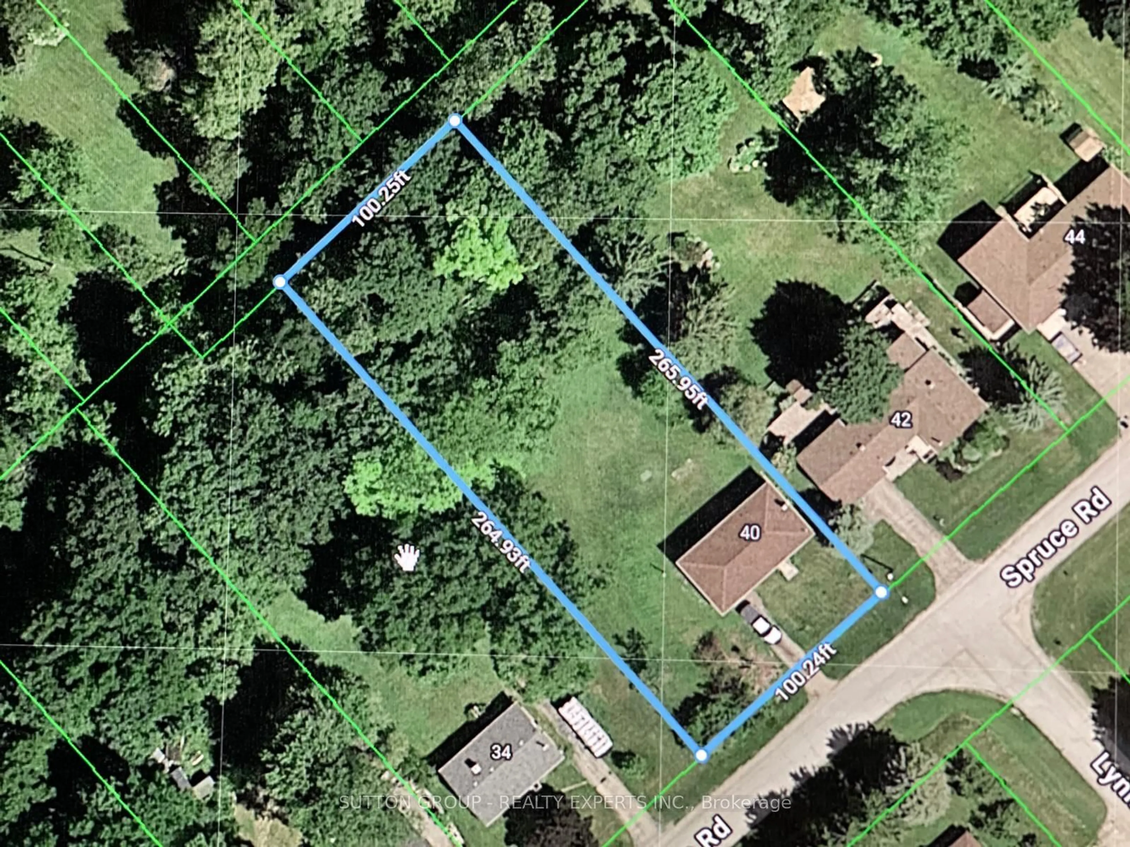 A pic from outside/outdoor area/front of a property/back of a property/a pic from drone, street for 40 Spruce St, South-West Oxford Ontario N0J 1A0