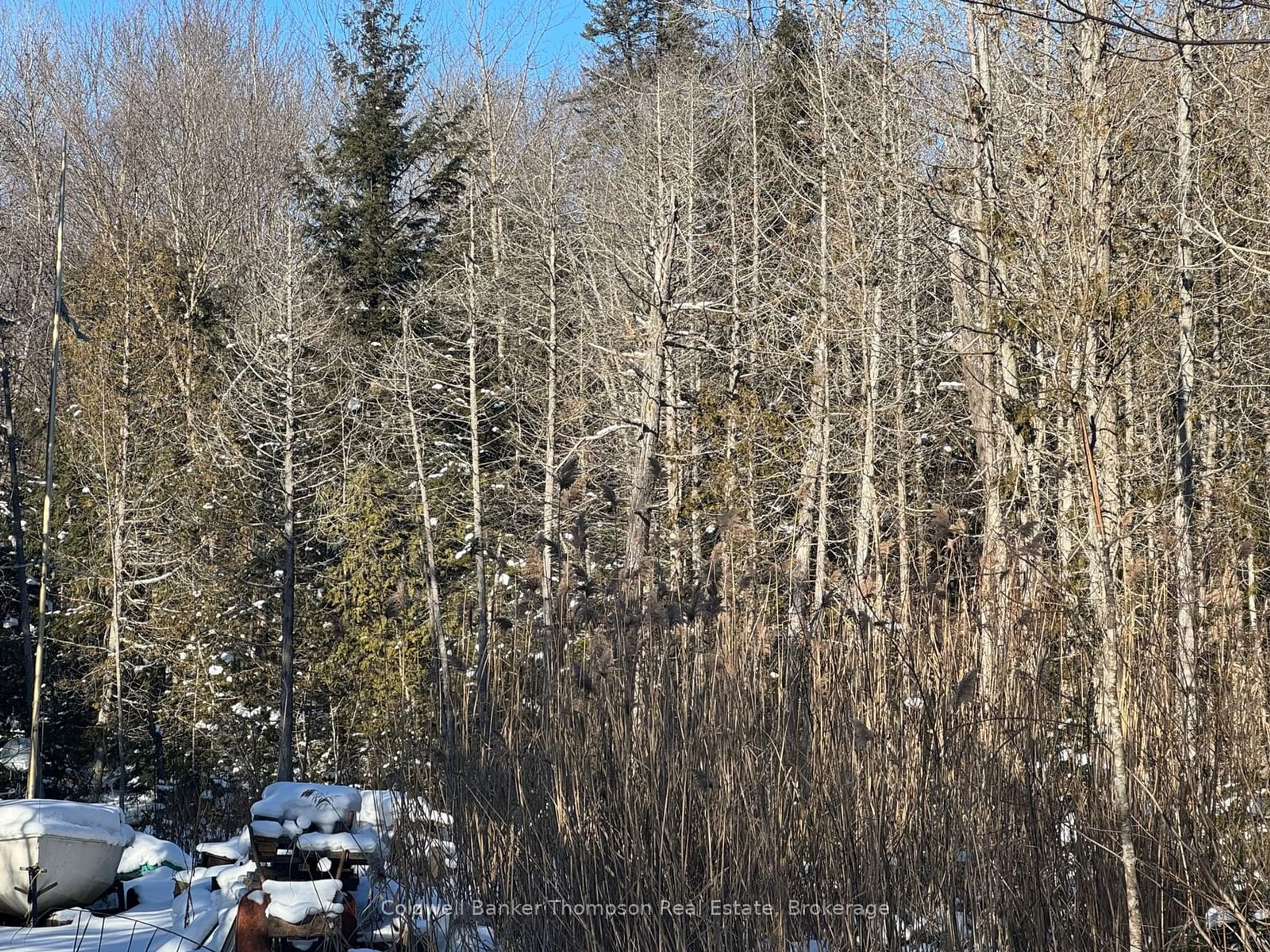 A pic from outside/outdoor area/front of a property/back of a property/a pic from drone, forest/trees view for 1094 Stoney Rd, Ryerson Ontario P0A 1C0