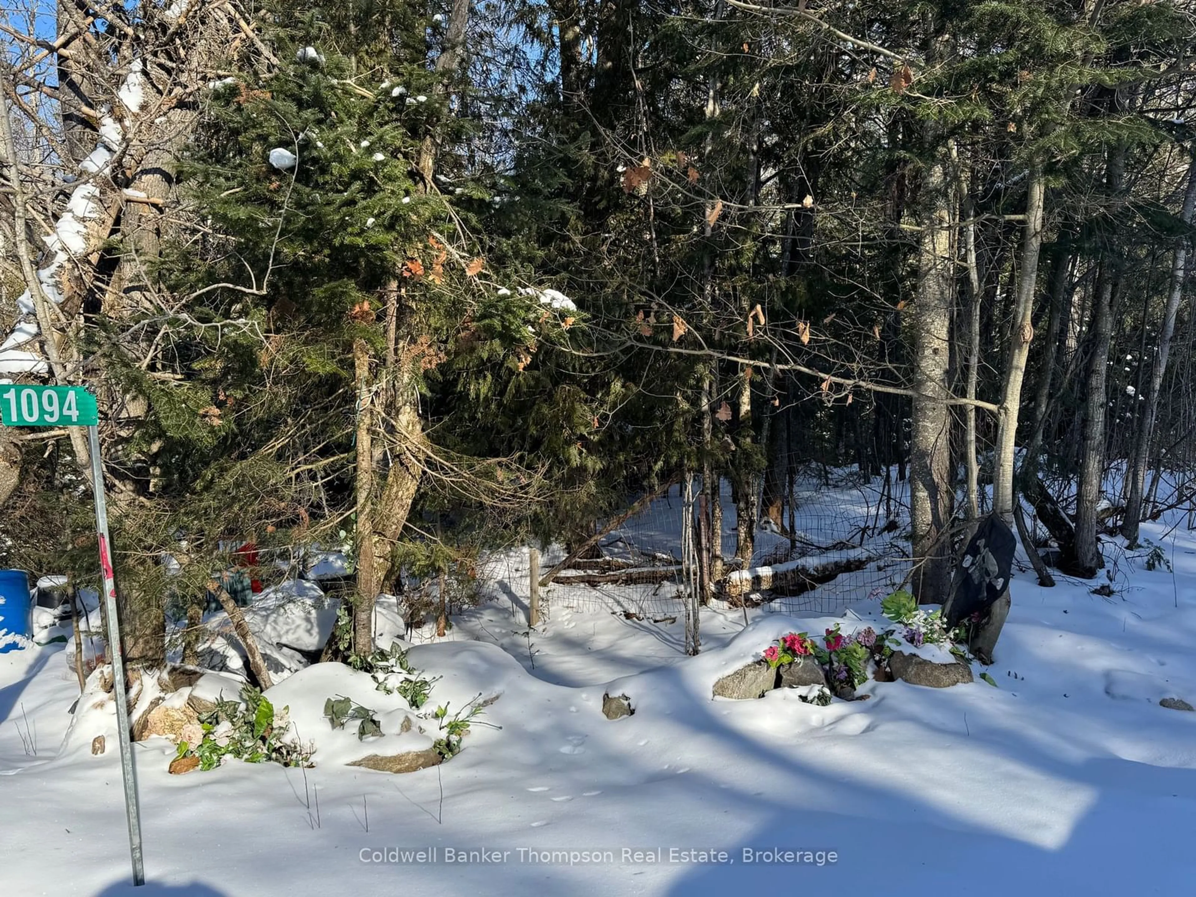 A pic from outside/outdoor area/front of a property/back of a property/a pic from drone, forest/trees view for 1094 Stoney Rd, Ryerson Ontario P0A 1C0