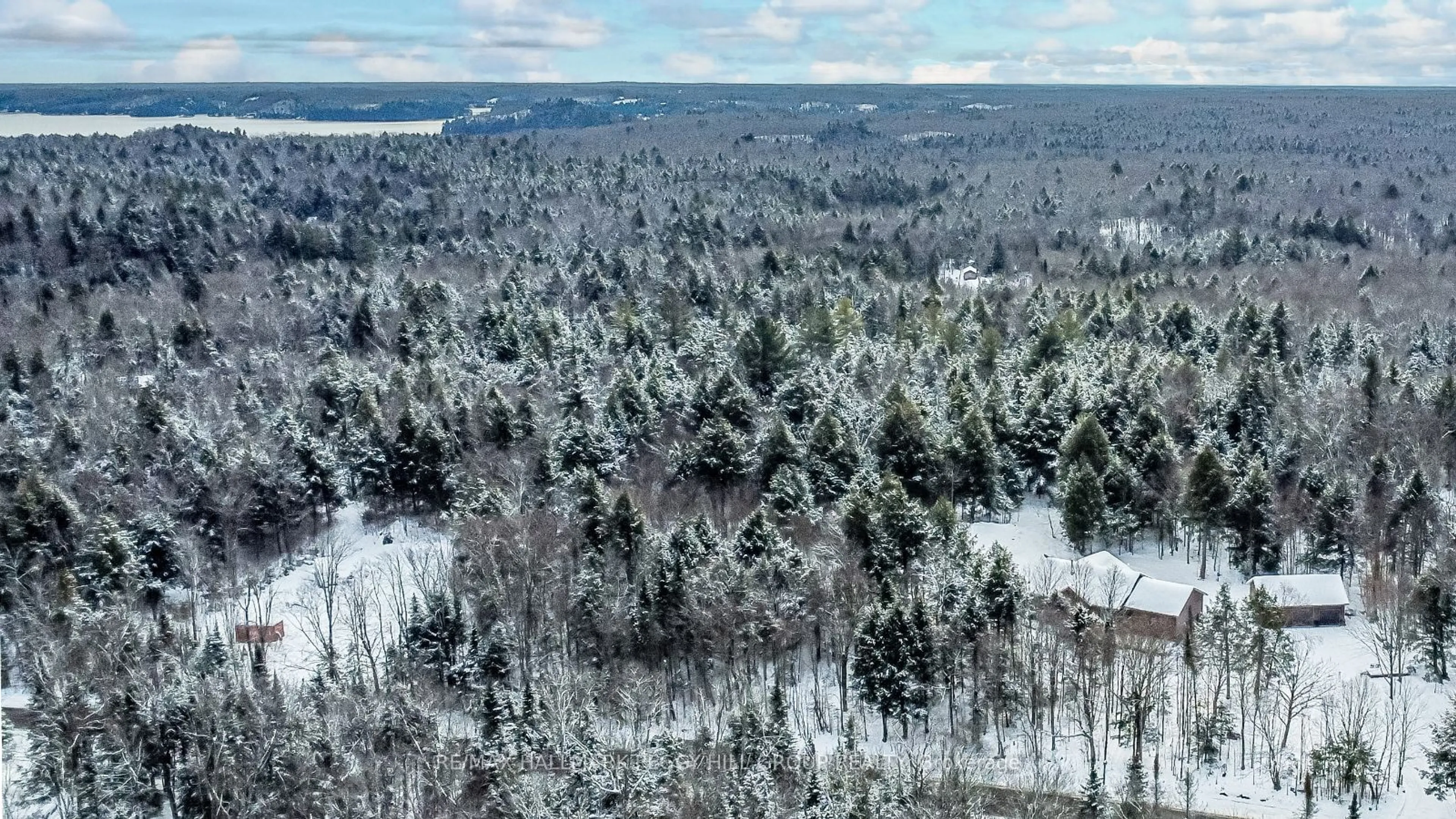 A pic from outside/outdoor area/front of a property/back of a property/a pic from drone, forest/trees view for 4571 Aspdin Rd, Muskoka Lakes Ontario P0B 1M0