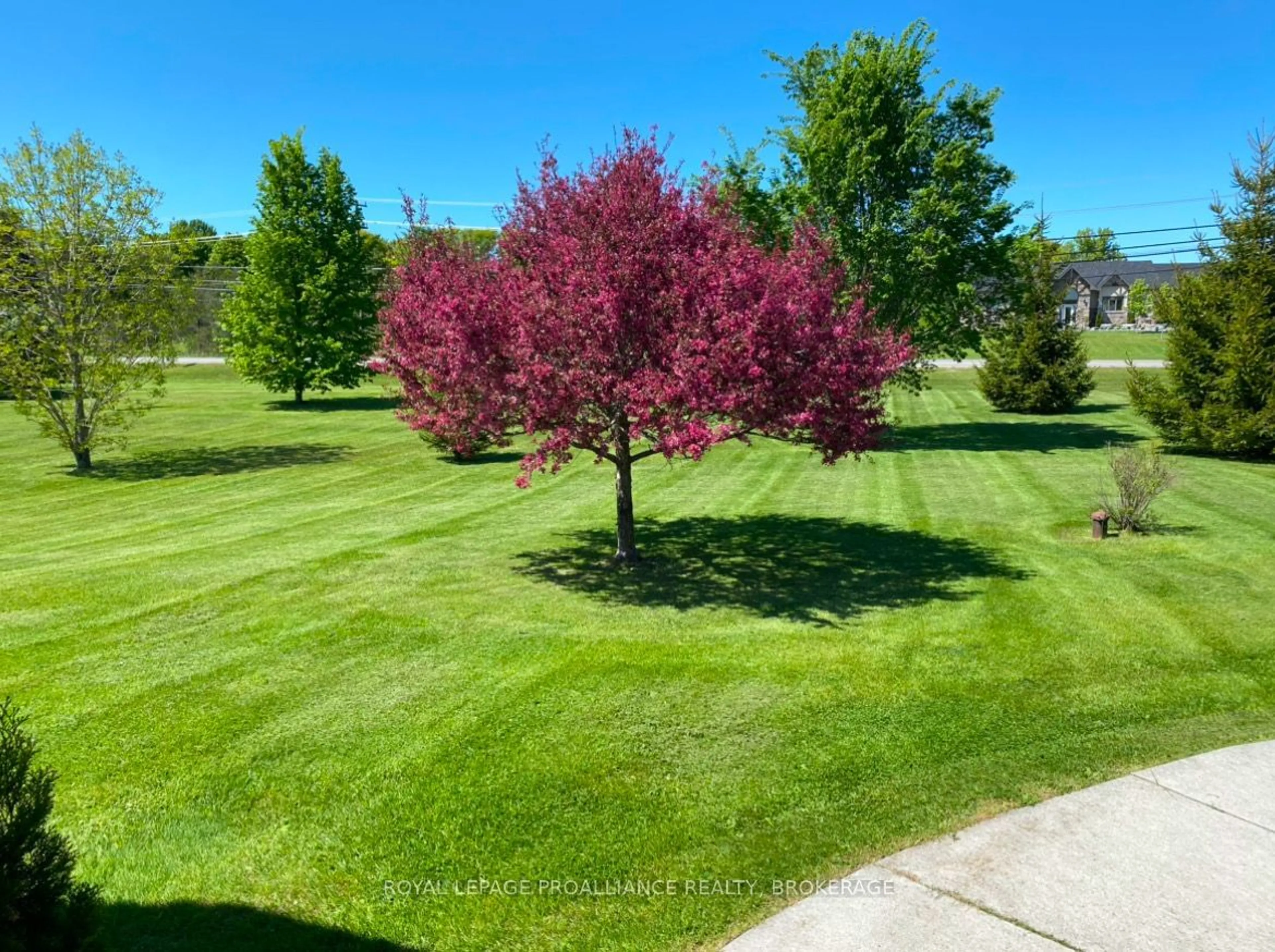 A pic from outside/outdoor area/front of a property/back of a property/a pic from drone, forest/trees view for 3265 Harrowsmith Rd, South Frontenac Ontario K0H 1V0