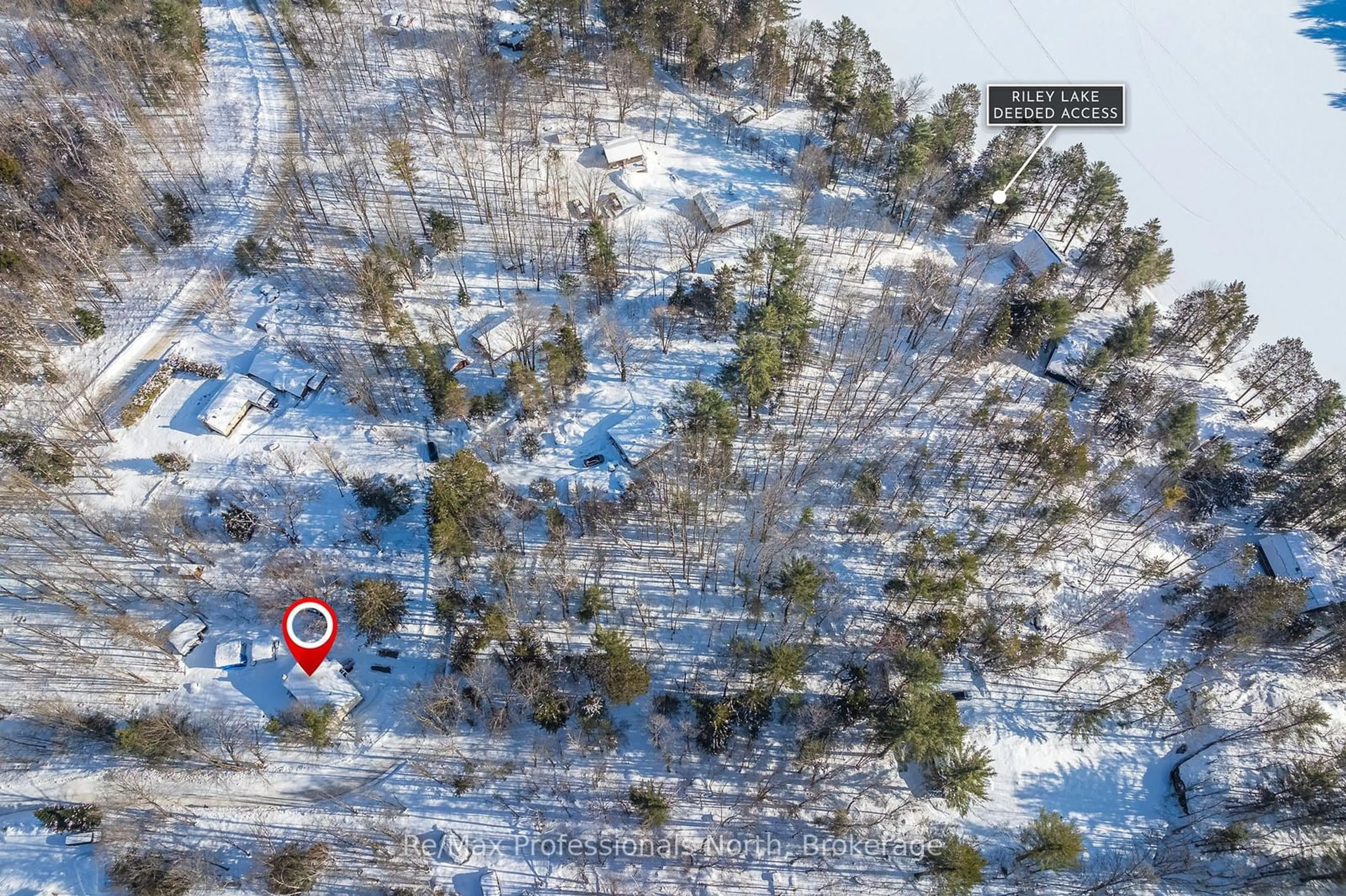 A pic from outside/outdoor area/front of a property/back of a property/a pic from drone, forest/trees view for 1011 Fitchett Lane, Gravenhurst Ontario P1P 1R3