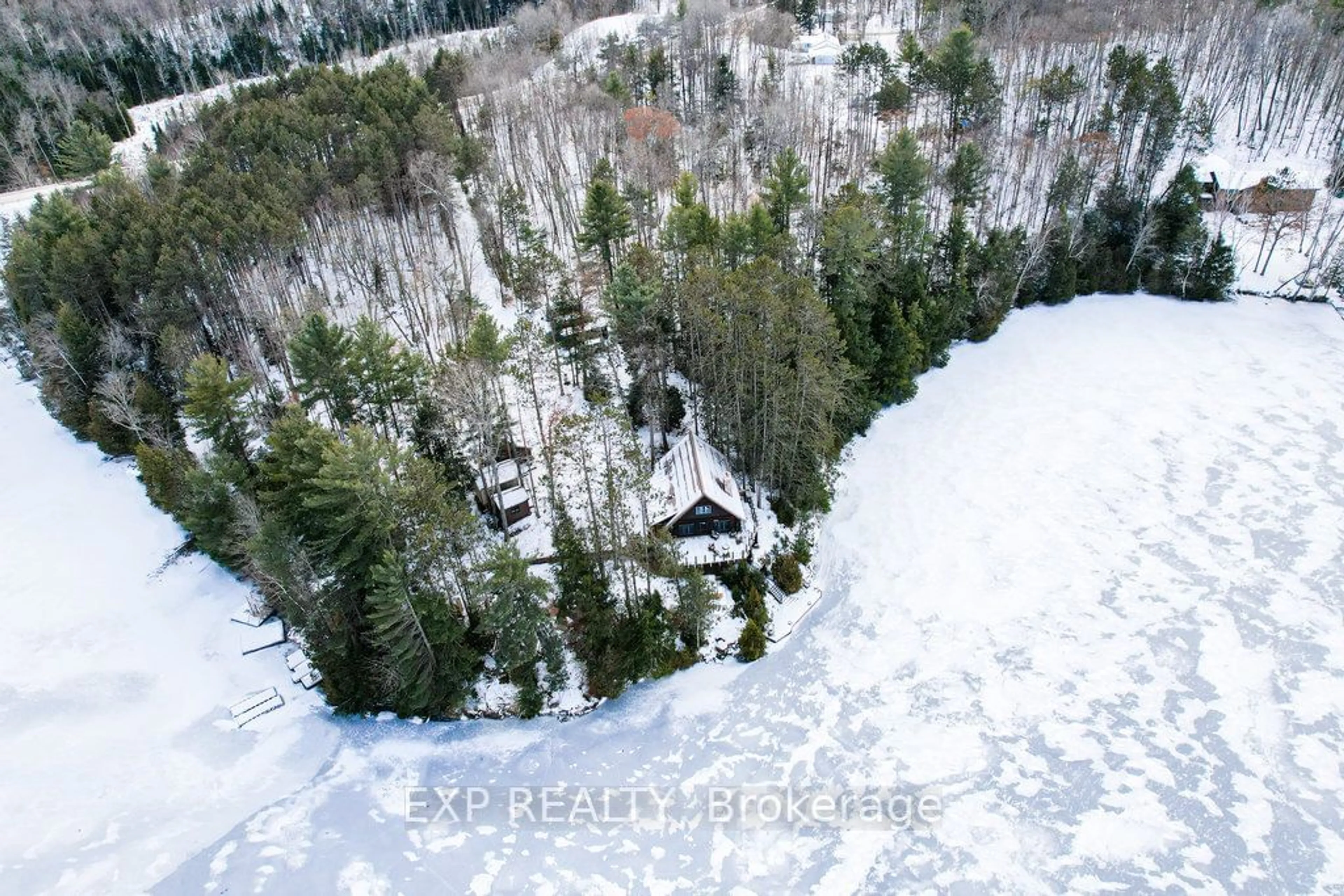 A pic from outside/outdoor area/front of a property/back of a property/a pic from drone, forest/trees view for 3120 County Road 504, North Kawartha Ontario K0L 1A0