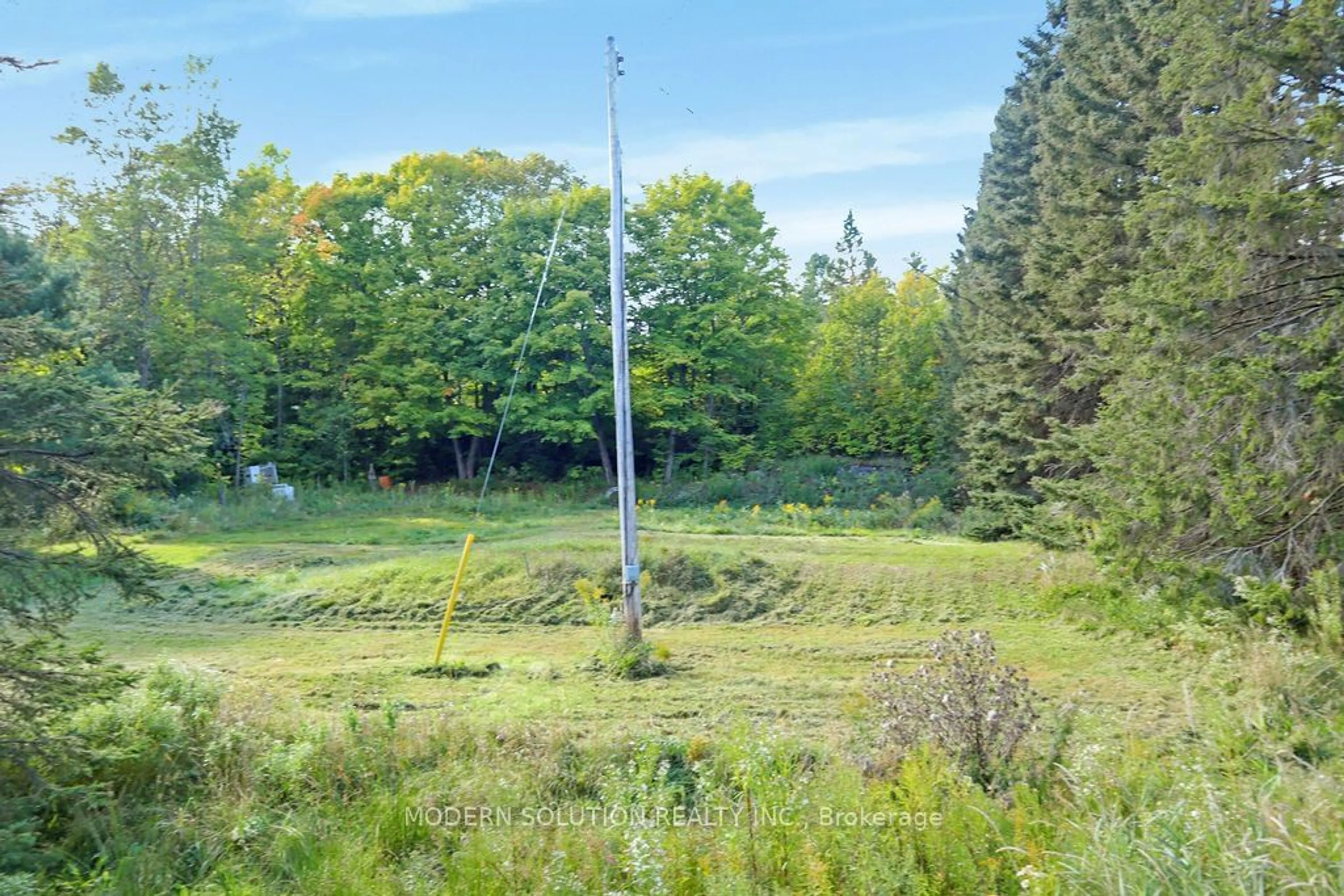 A pic from outside/outdoor area/front of a property/back of a property/a pic from drone, forest/trees view for 20 & 14 Highway 520, Parry Sound Ontario P0A 1G0