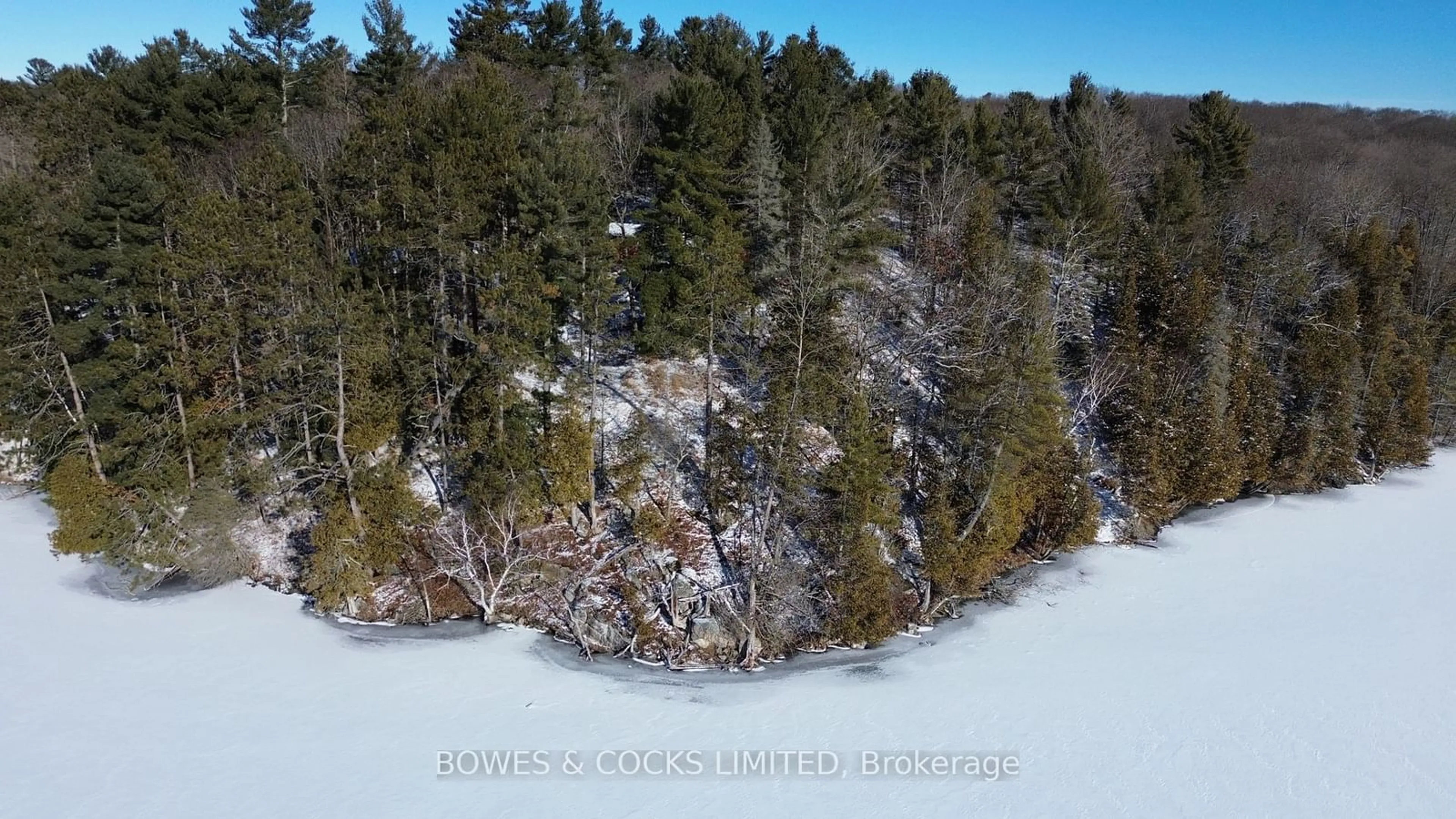 A pic from outside/outdoor area/front of a property/back of a property/a pic from drone, forest/trees view for 10 Fire Route 46, North Kawartha Ontario K0L 2H0