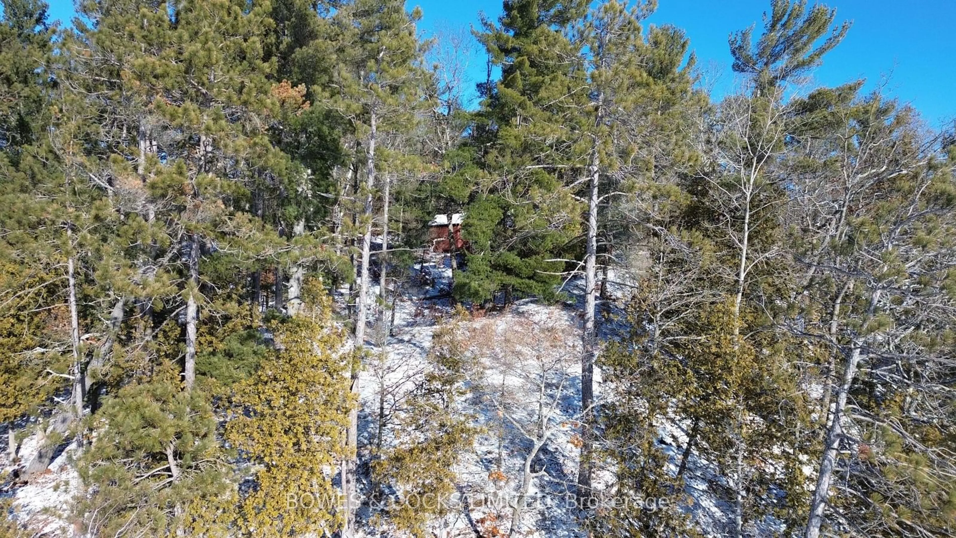 A pic from outside/outdoor area/front of a property/back of a property/a pic from drone, forest/trees view for 10 Fire Route 46, North Kawartha Ontario K0L 2H0