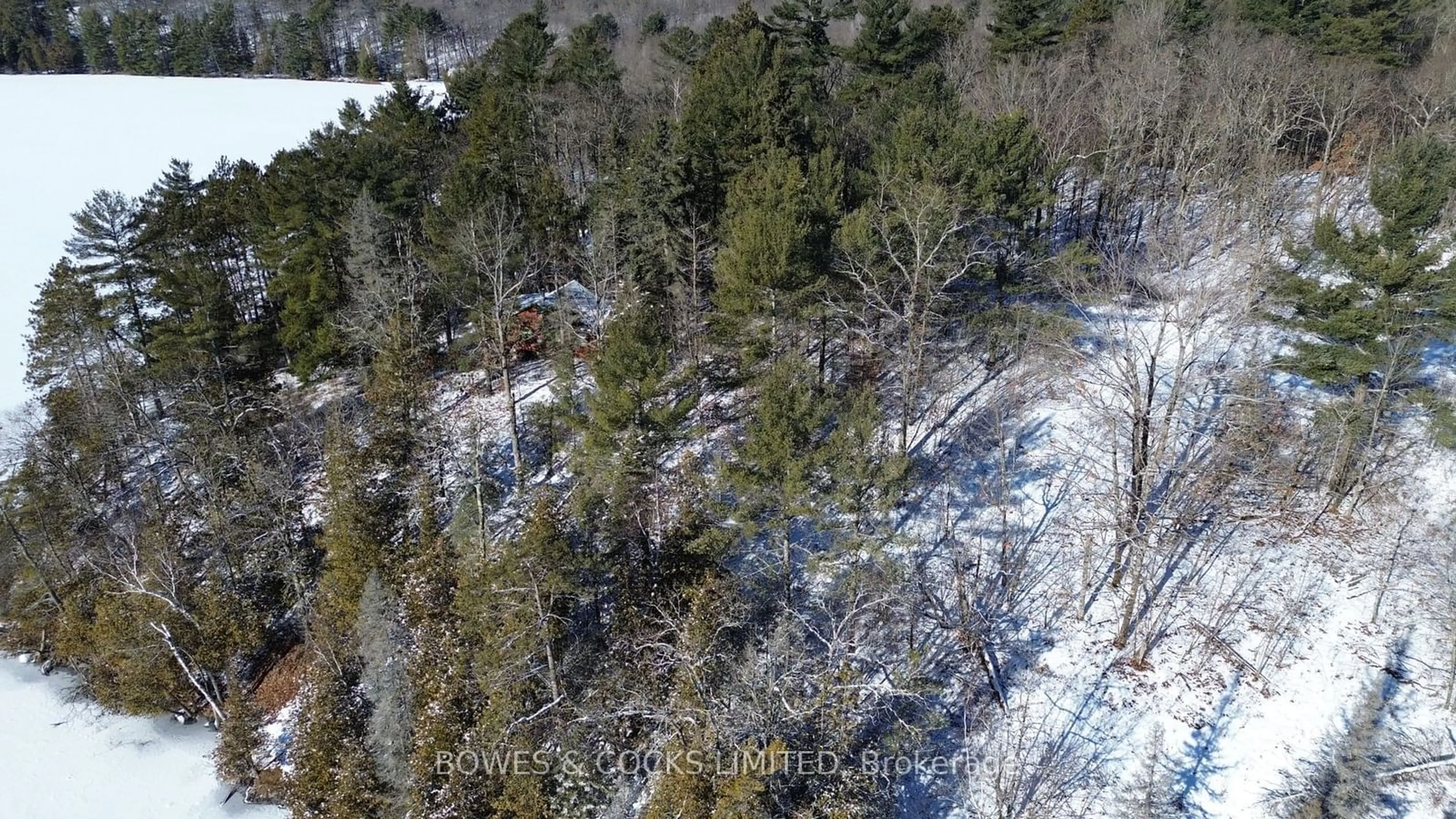 A pic from outside/outdoor area/front of a property/back of a property/a pic from drone, forest/trees view for 10 Fire Route 46, North Kawartha Ontario K0L 2H0