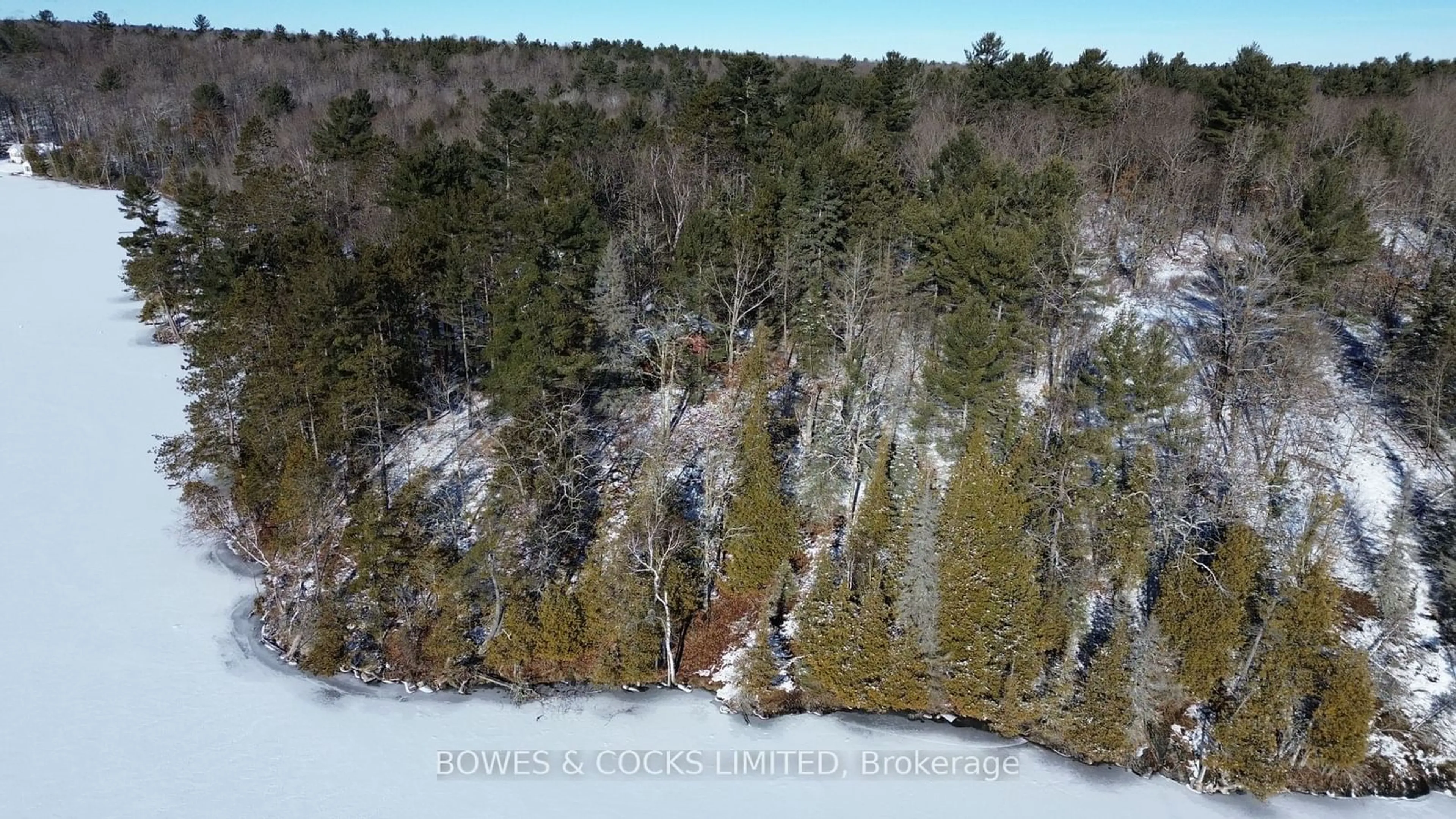 A pic from outside/outdoor area/front of a property/back of a property/a pic from drone, forest/trees view for 10 Fire Route 46, North Kawartha Ontario K0L 2H0