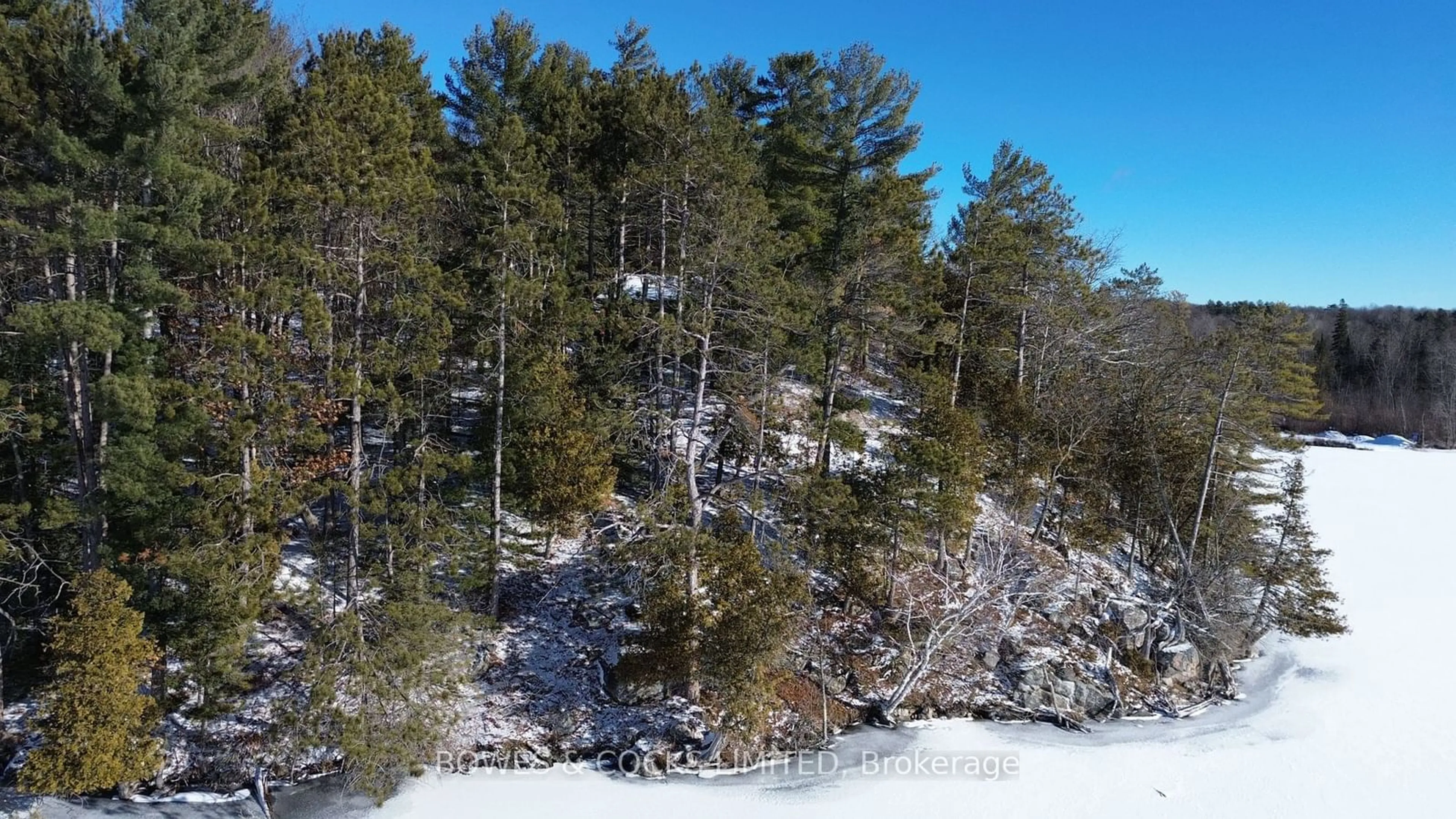 A pic from outside/outdoor area/front of a property/back of a property/a pic from drone, forest/trees view for 10 Fire Route 46, North Kawartha Ontario K0L 2H0