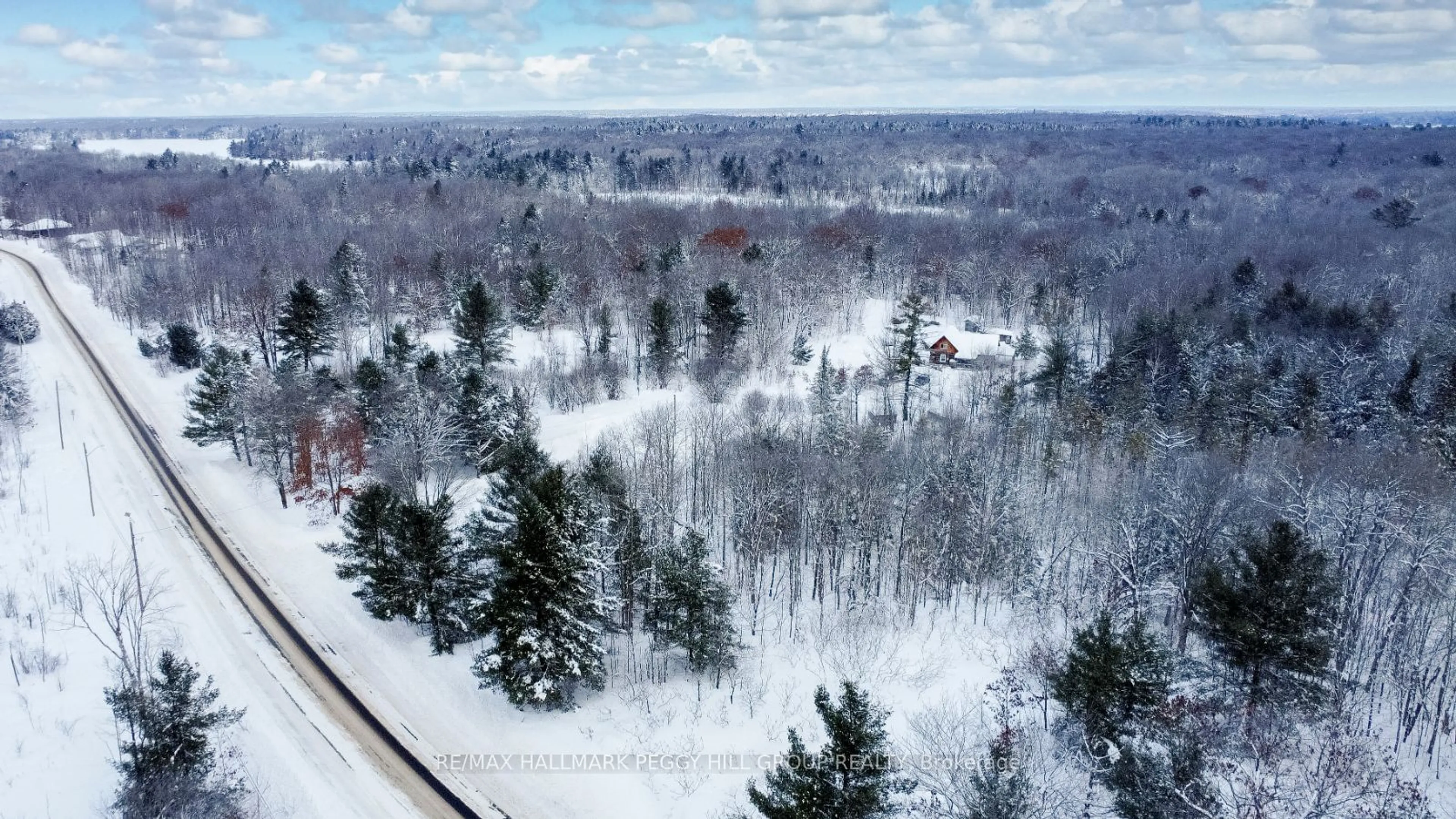 A pic from outside/outdoor area/front of a property/back of a property/a pic from drone, forest/trees view for 94 High St, Georgian Bay Ontario P0C 1H0