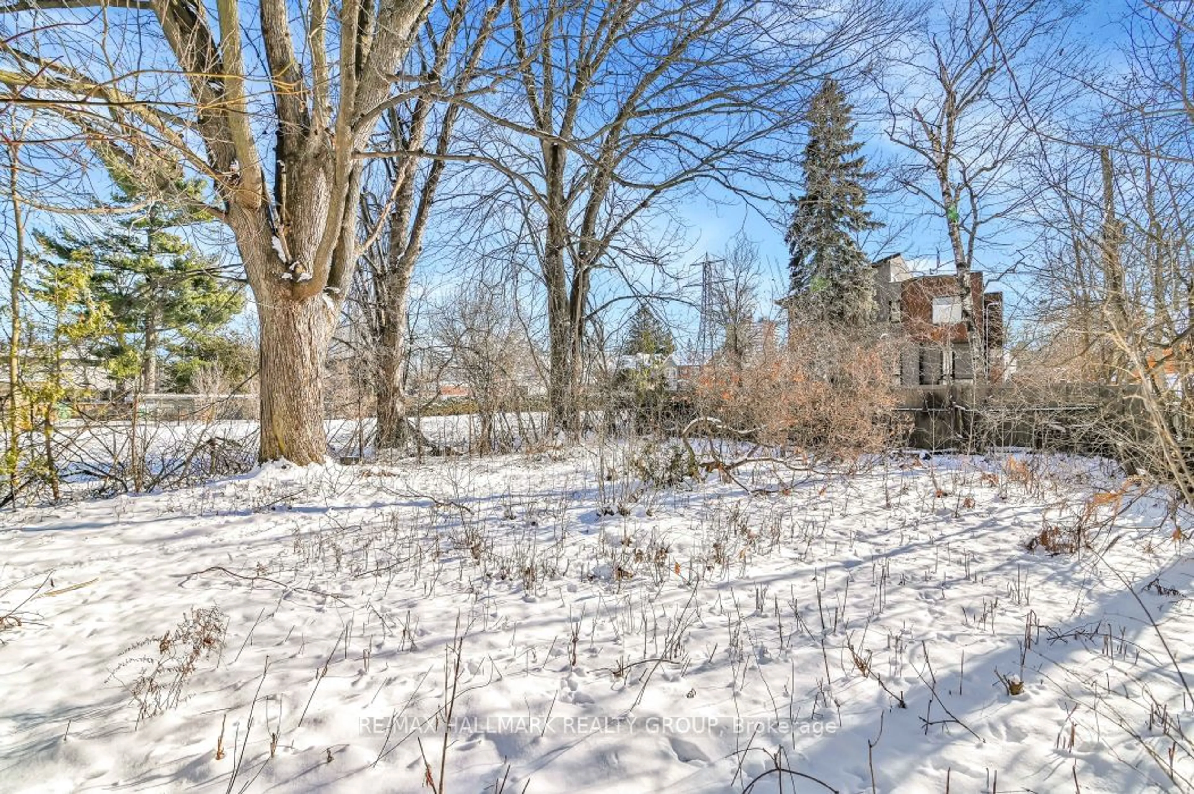 Patio, forest/trees view for 243 Belford Cres, Westboro - Hampton Park Ontario K1Z 7A9