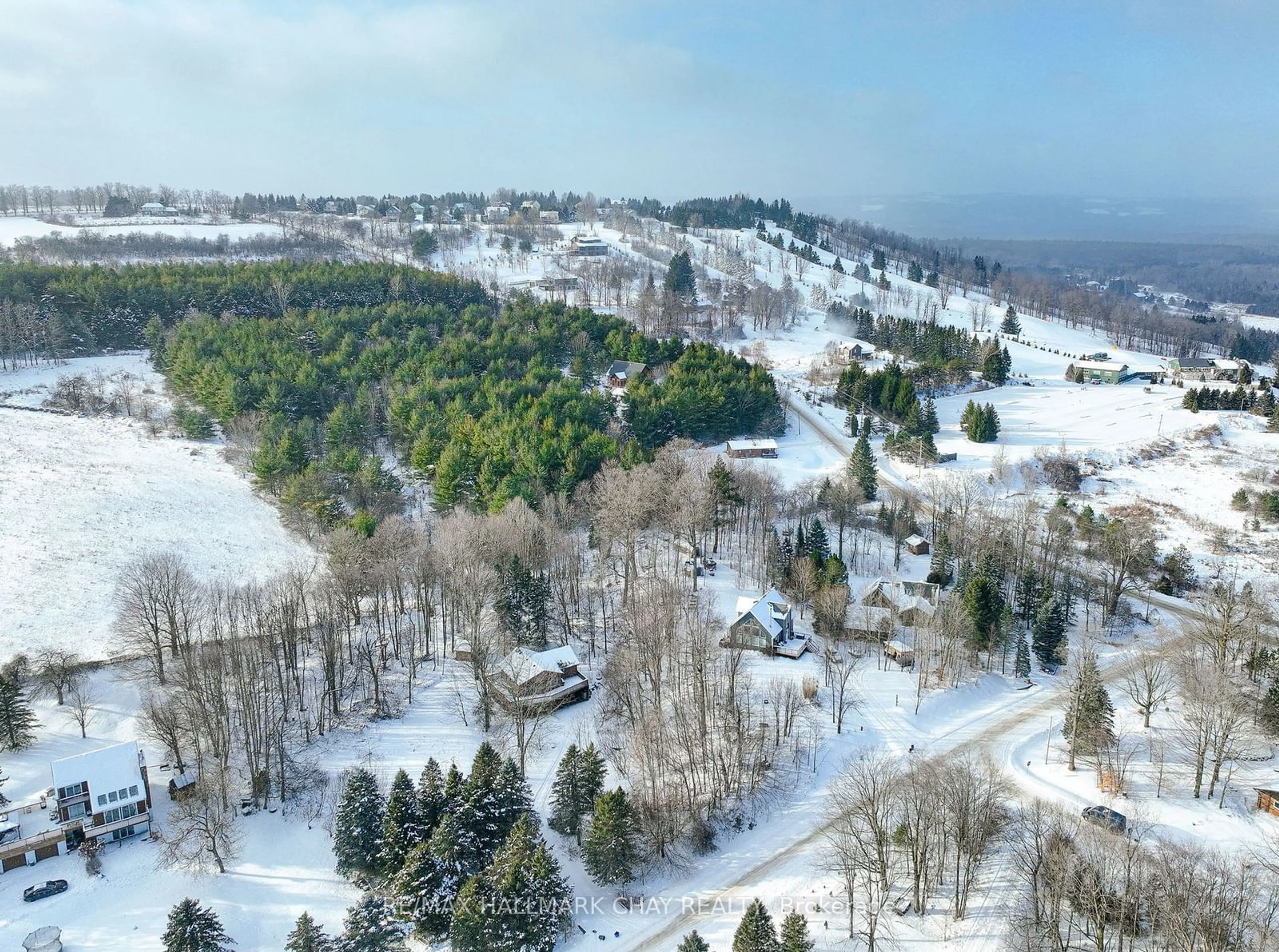 A pic from outside/outdoor area/front of a property/back of a property/a pic from drone, forest/trees view for 6 Mountainview Rd, Mulmur Ontario L9V 3H5