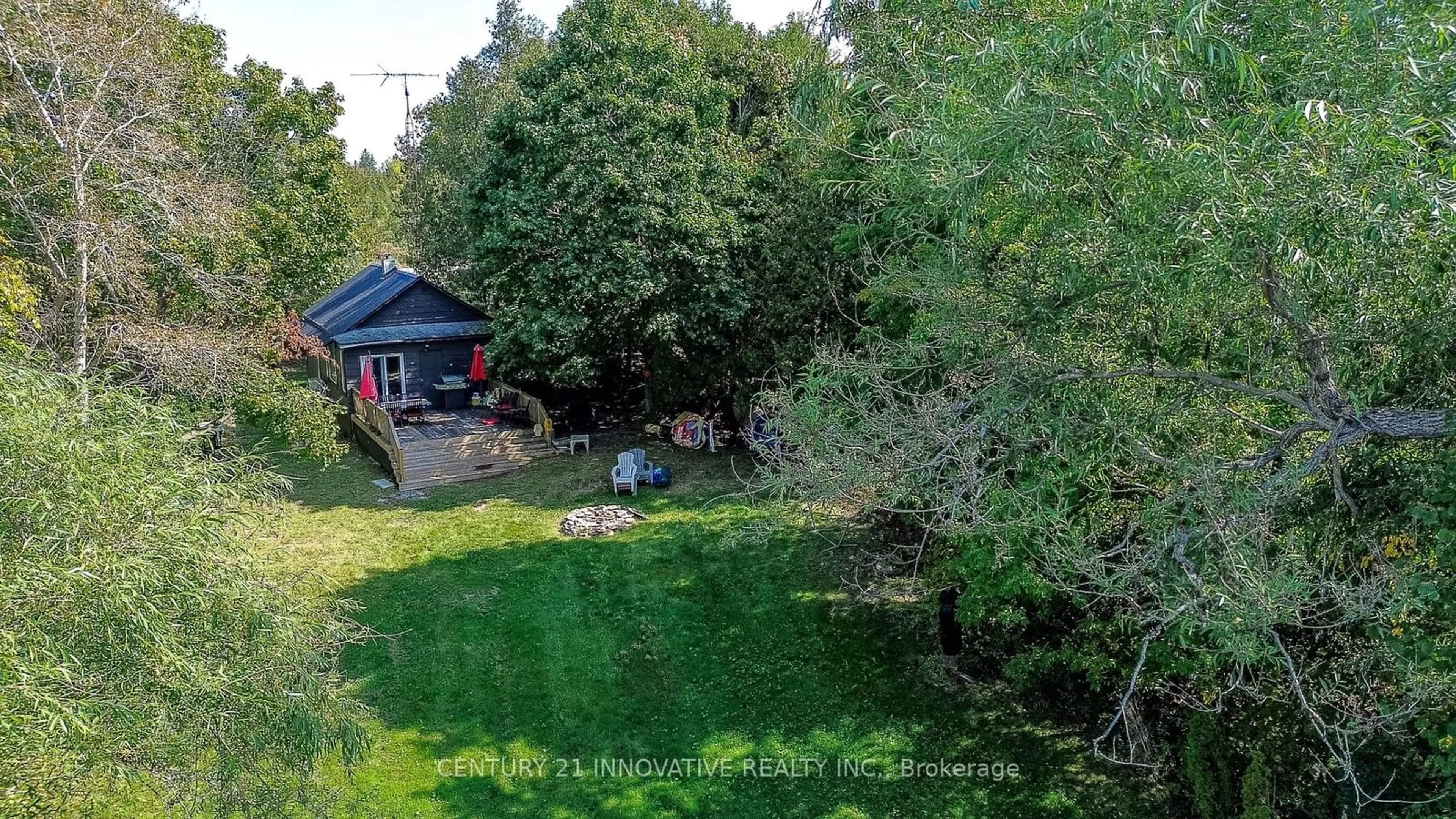 A pic from outside/outdoor area/front of a property/back of a property/a pic from drone, forest/trees view for 14 Hargrave Rd, Kawartha Lakes Ontario K0M 2B0