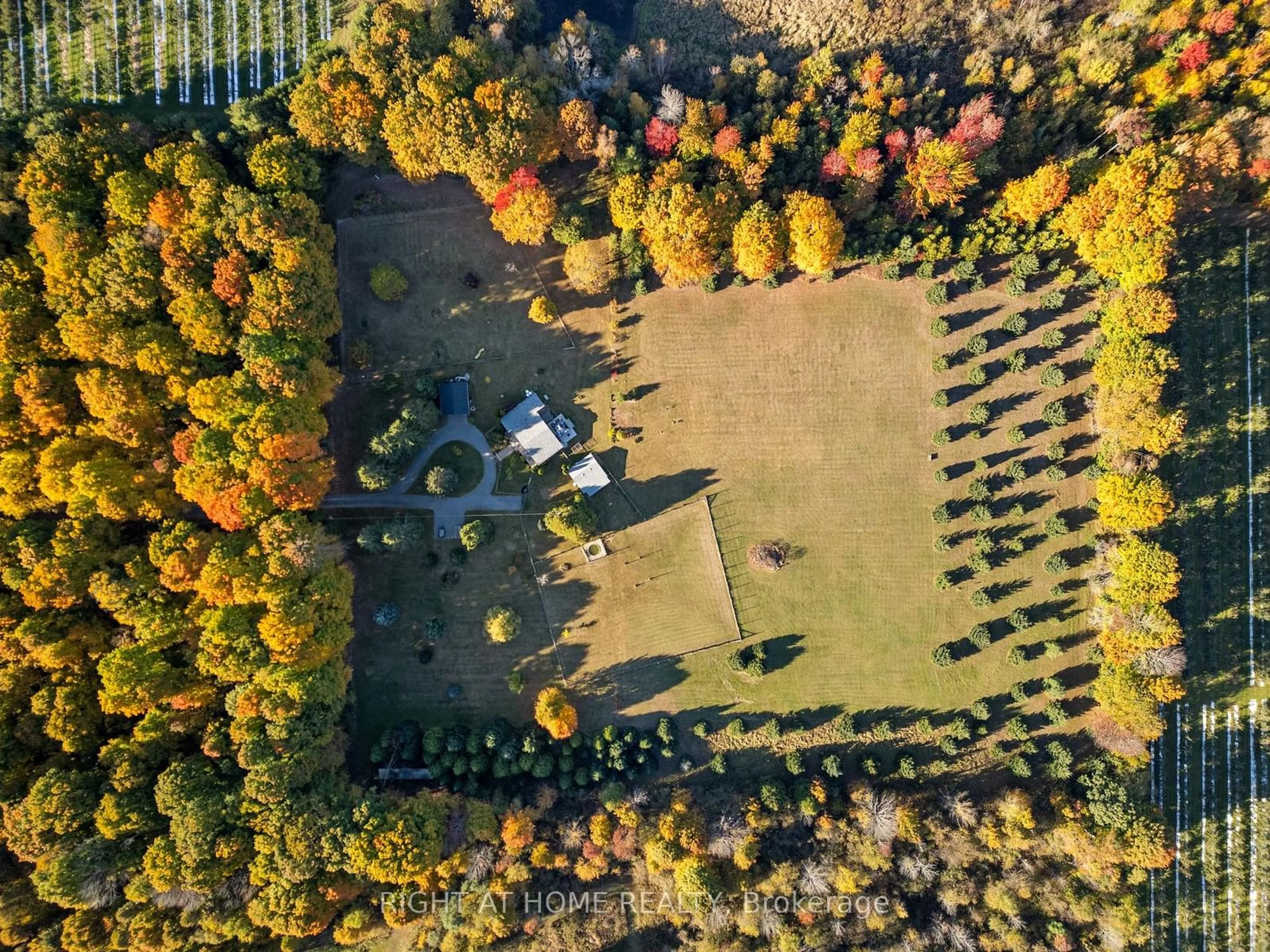 A pic from outside/outdoor area/front of a property/back of a property/a pic from drone, forest/trees view for 203 Barnes Rd, Brighton Ontario K0K 1H0