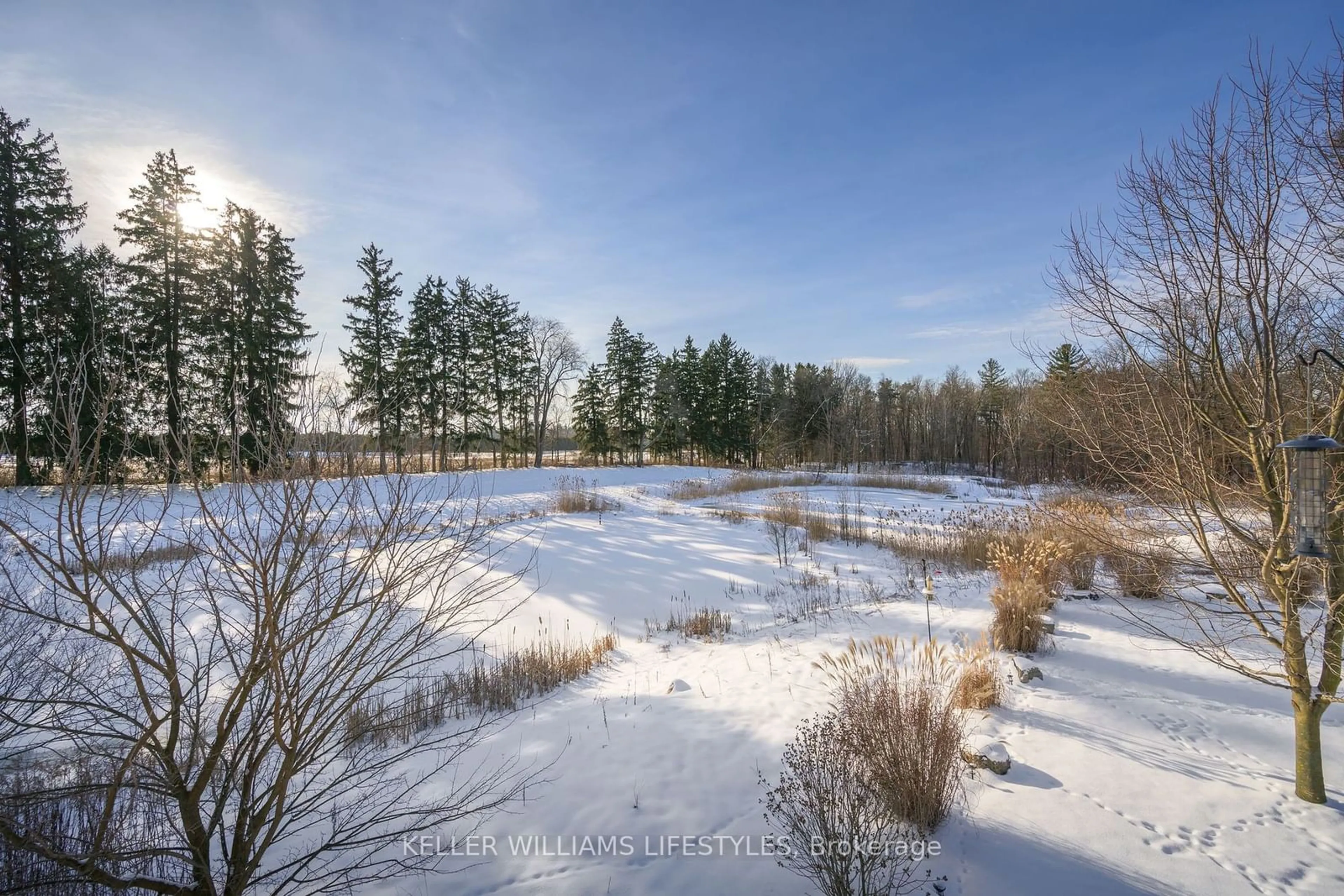 A pic from outside/outdoor area/front of a property/back of a property/a pic from drone, forest/trees view for 675 Bennett Cres, Strathroy-Caradoc Ontario N0L 1W0