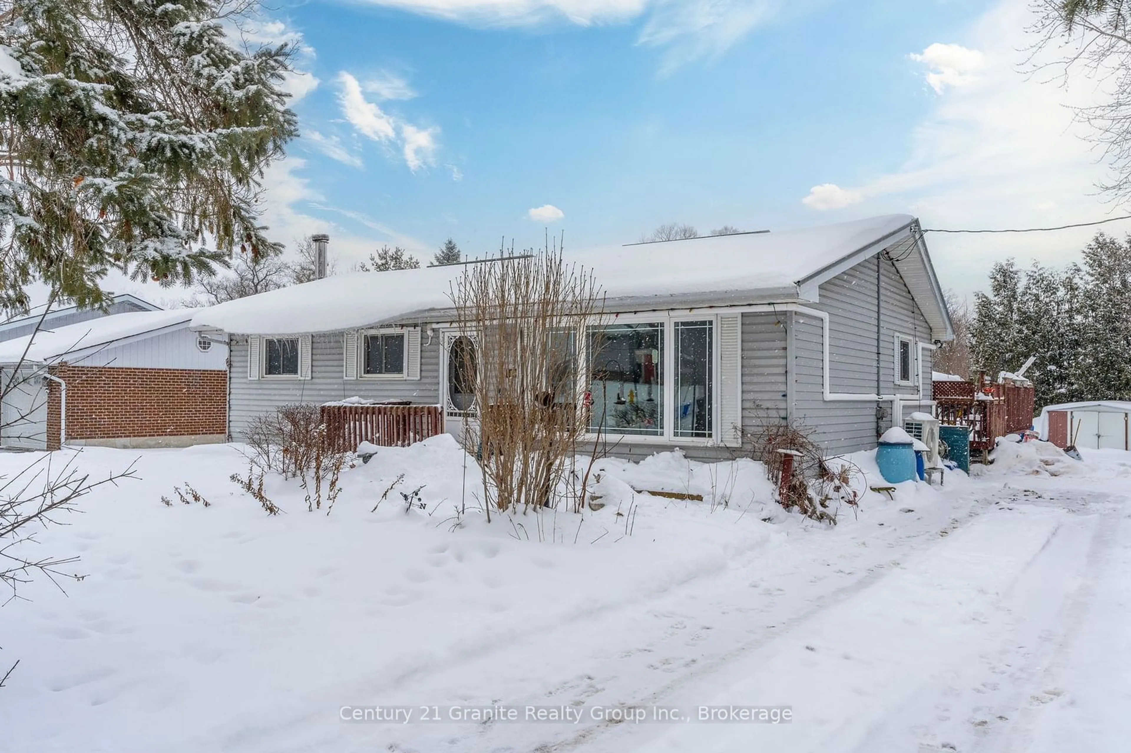 A pic from outside/outdoor area/front of a property/back of a property/a pic from drone, street for 103 Argyle St, Kawartha Lakes Ontario K0M 2T0