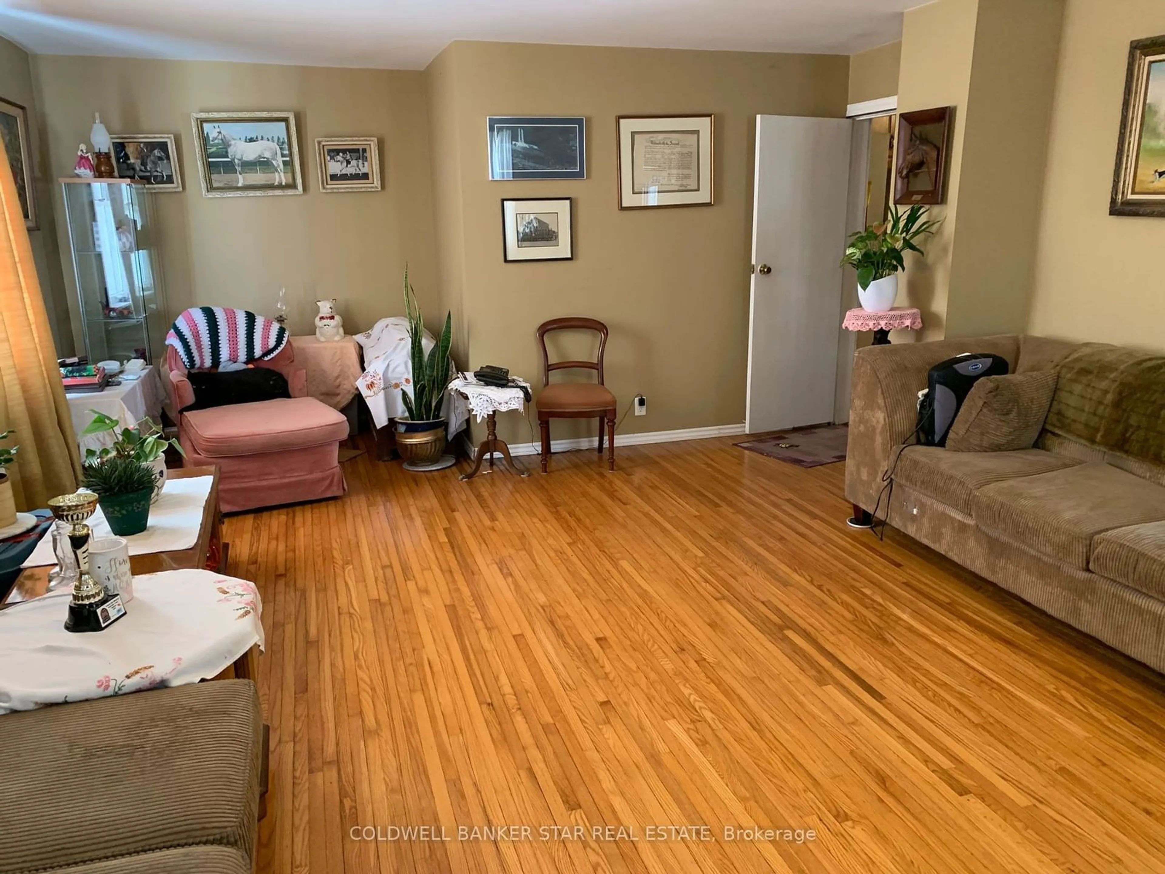 Living room with furniture, wood/laminate floor for 463 South Edgeware Rd, St. Thomas Ontario N5P 4K6