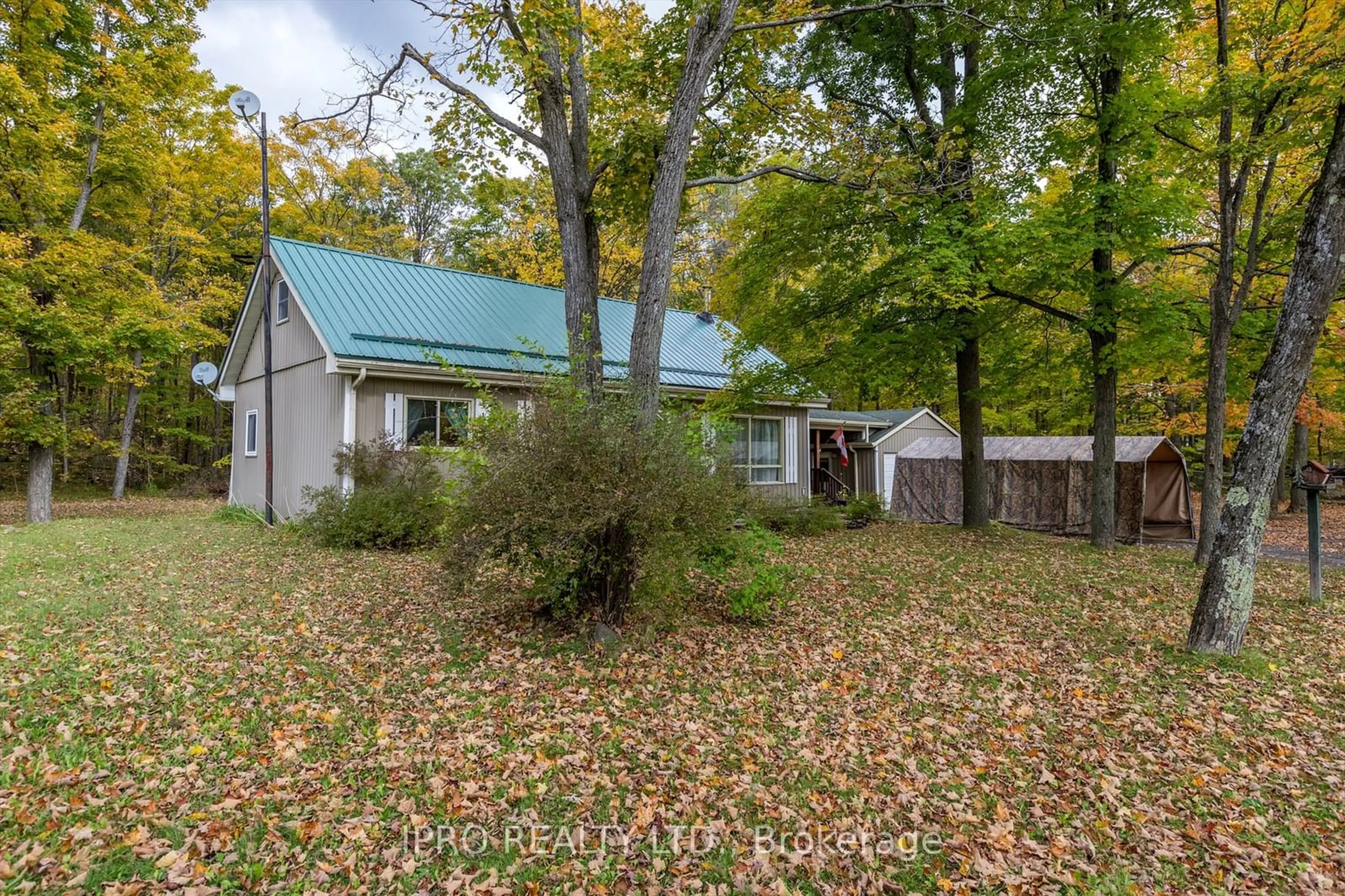 A pic from outside/outdoor area/front of a property/back of a property/a pic from drone, forest/trees view for 3857 County Rd 36 Rd, Galway-Cavendish and Harvey Ontario K0L 1J0