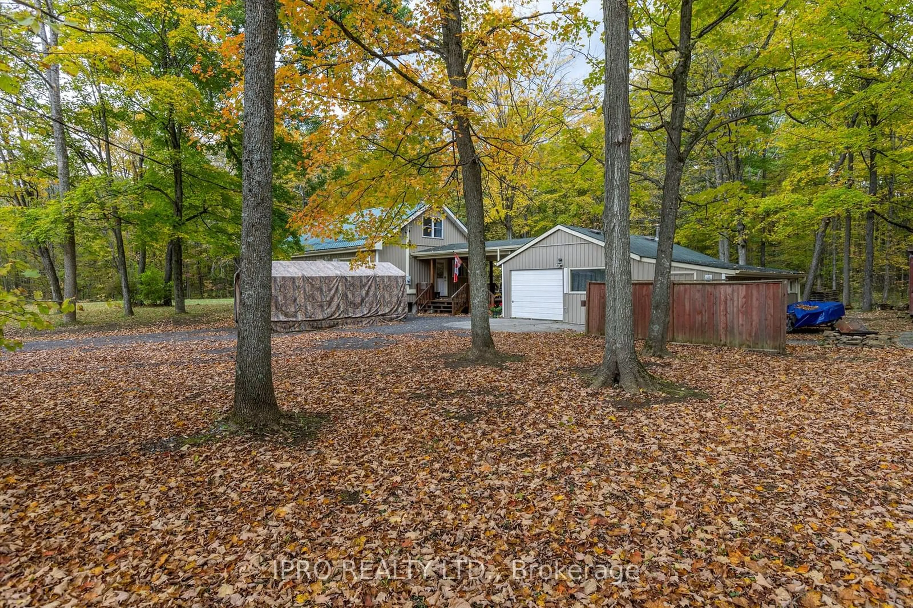 A pic from outside/outdoor area/front of a property/back of a property/a pic from drone, forest/trees view for 3857 County Rd 36 Rd, Galway-Cavendish and Harvey Ontario K0L 1J0