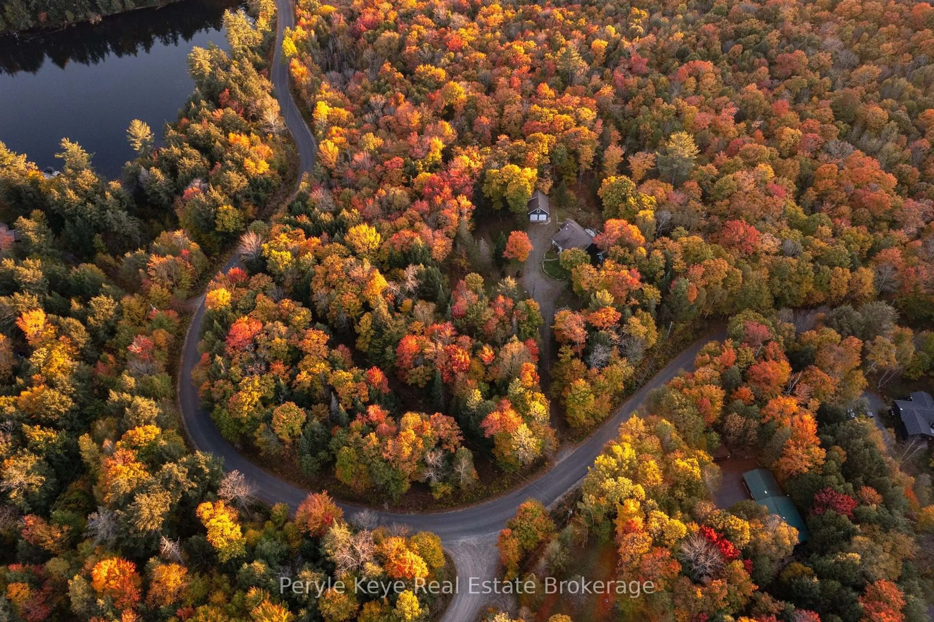 A pic from outside/outdoor area/front of a property/back of a property/a pic from drone, forest/trees view for 1165 WALKER LAKE Dr, Lake of Bays Ontario P1H 2J6