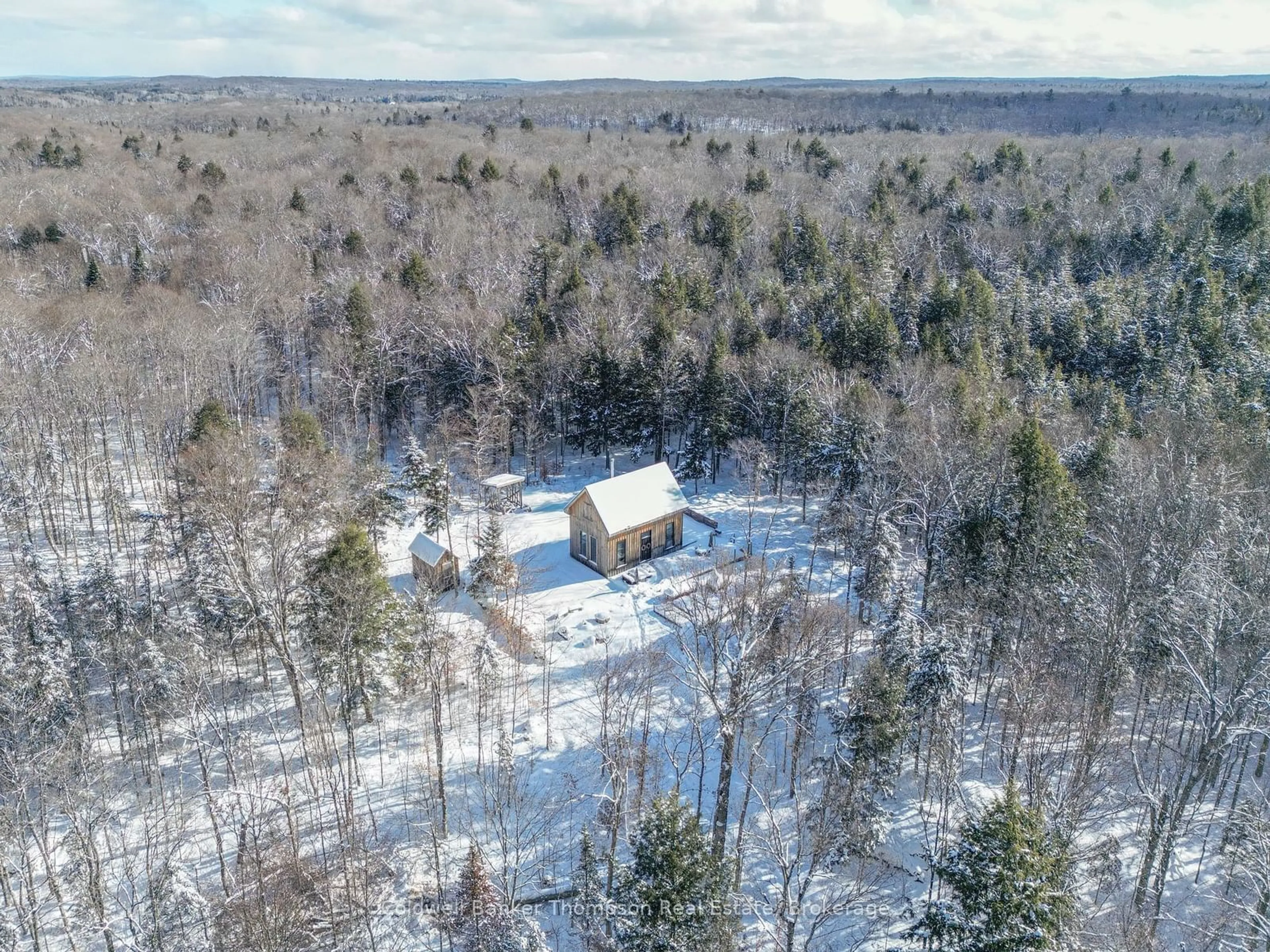 A pic from outside/outdoor area/front of a property/back of a property/a pic from drone, forest/trees view for 2825 Midlothian Rd, Ryerson Ontario P0A 1C0