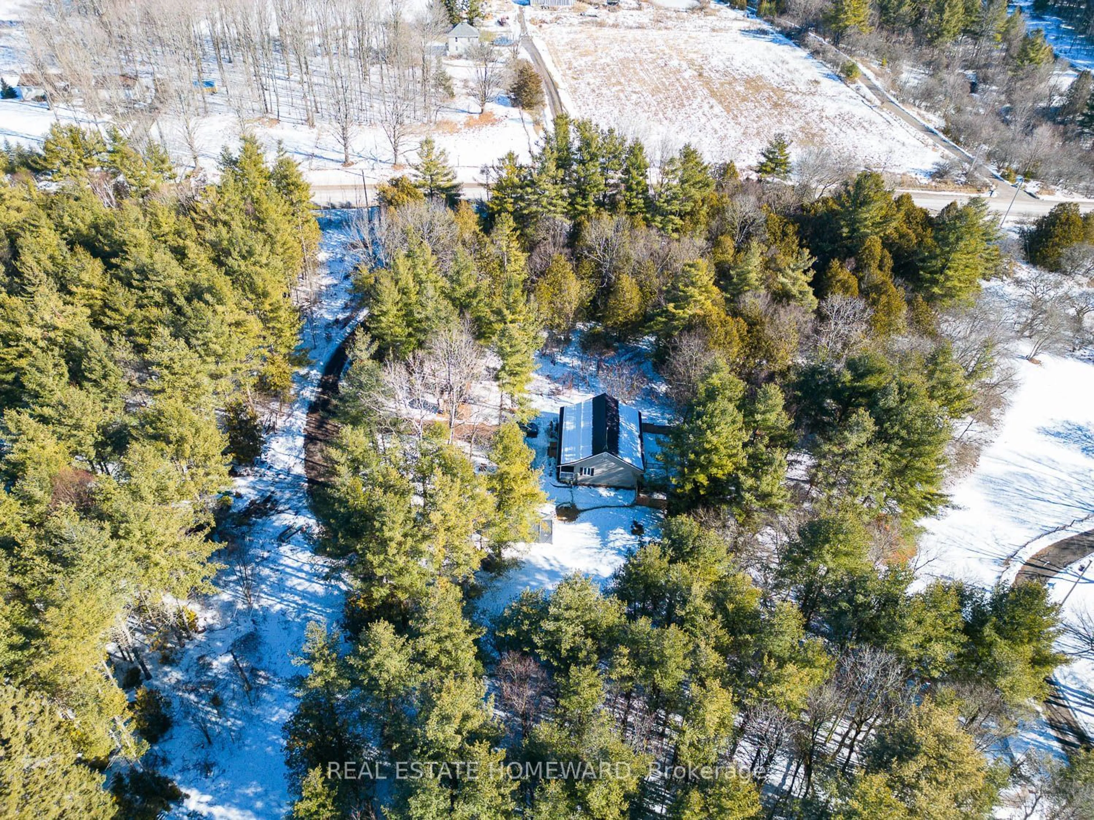 A pic from outside/outdoor area/front of a property/back of a property/a pic from drone, forest/trees view for 690 Broomfield Rd, Alnwick/Haldimand Ontario K0K 2G0