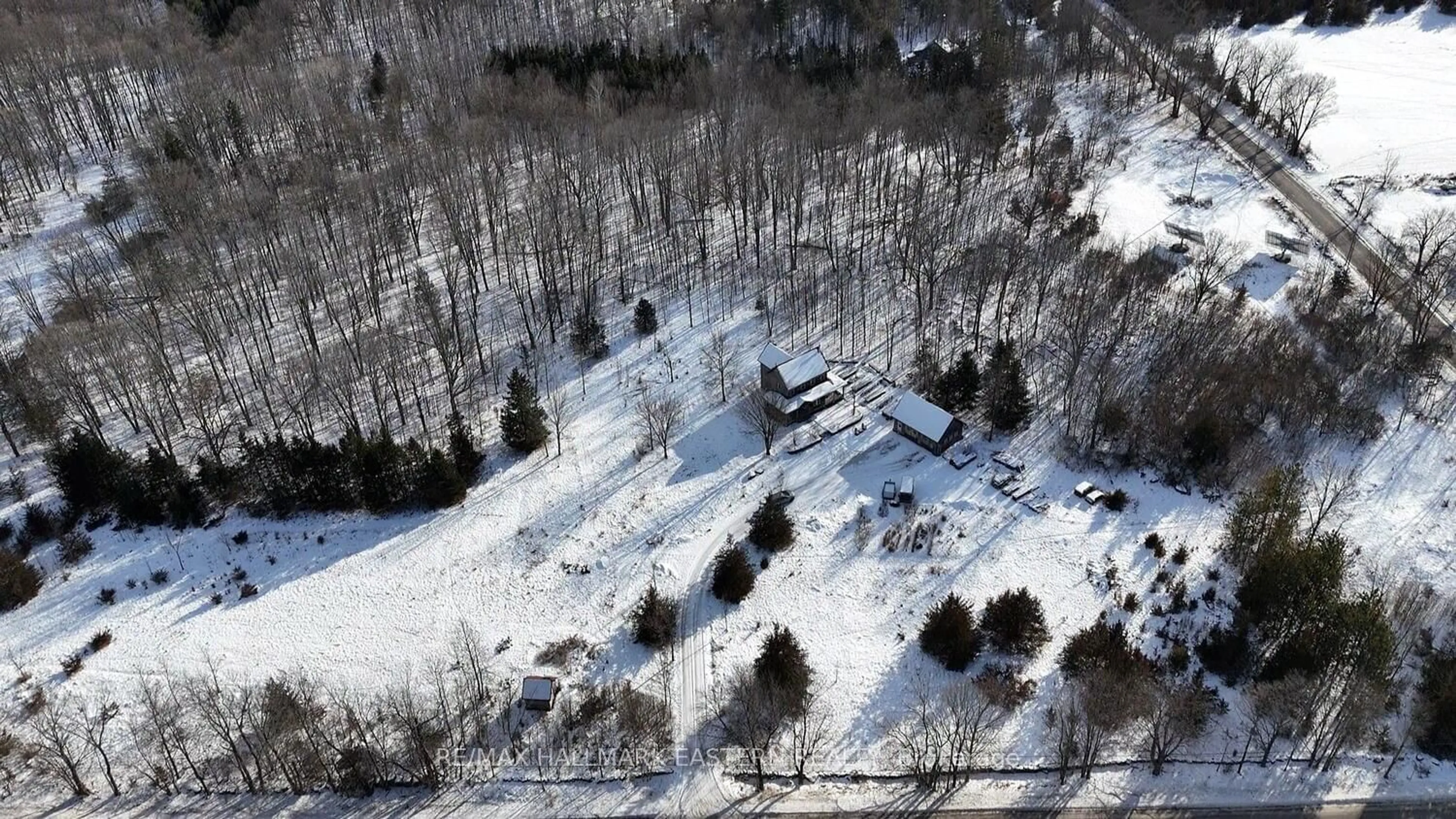 A pic from outside/outdoor area/front of a property/back of a property/a pic from drone, forest/trees view for 2339 13th Line, Trent Hills Ontario K0K 2M0