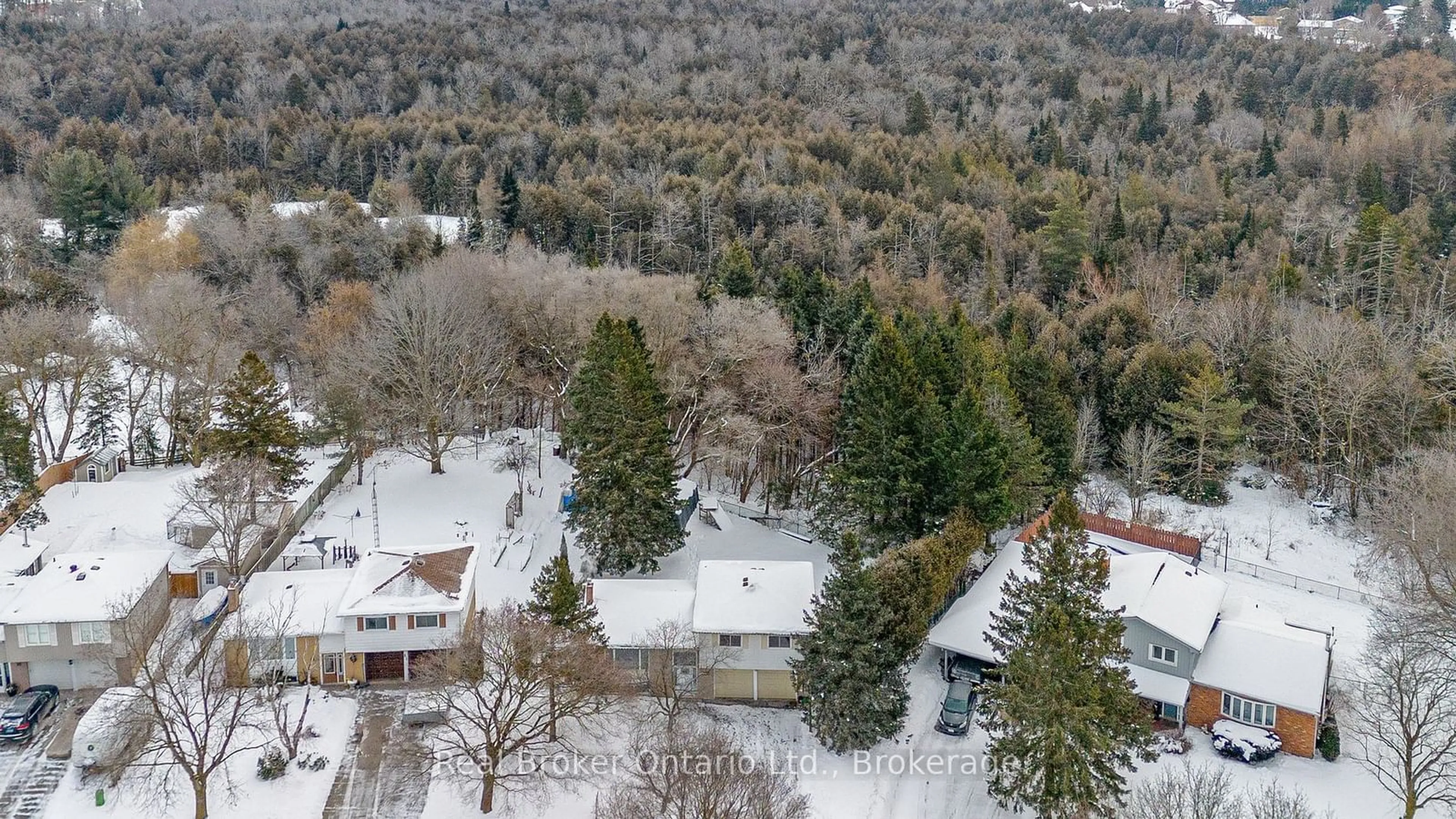 A pic from outside/outdoor area/front of a property/back of a property/a pic from drone, forest/trees view for 29 Scotch St, Erin Ontario N0B 1T0