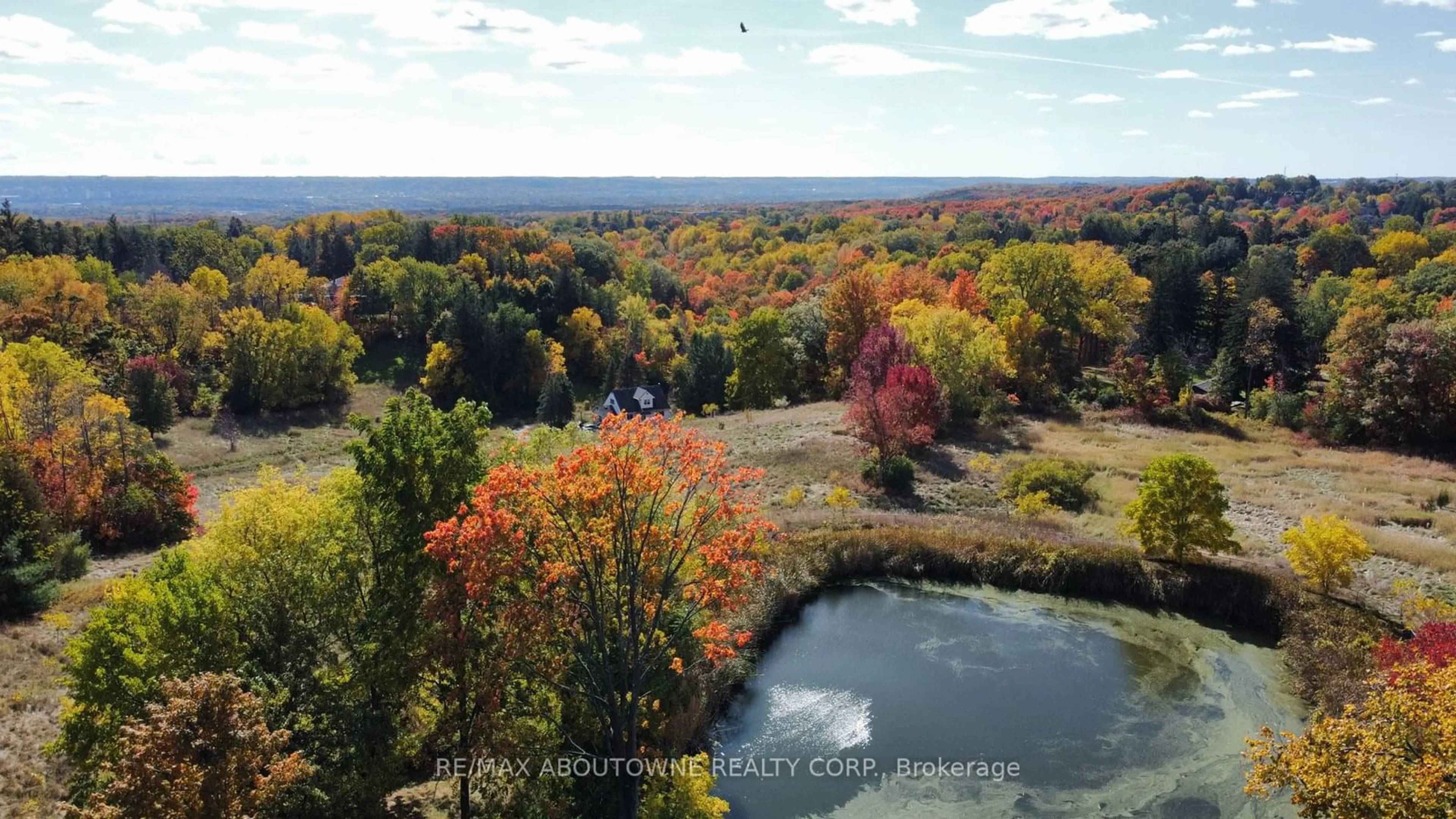 A pic from outside/outdoor area/front of a property/back of a property/a pic from drone, forest/trees view for 8 Renwood Pl, Hamilton Ontario L8B 0G6