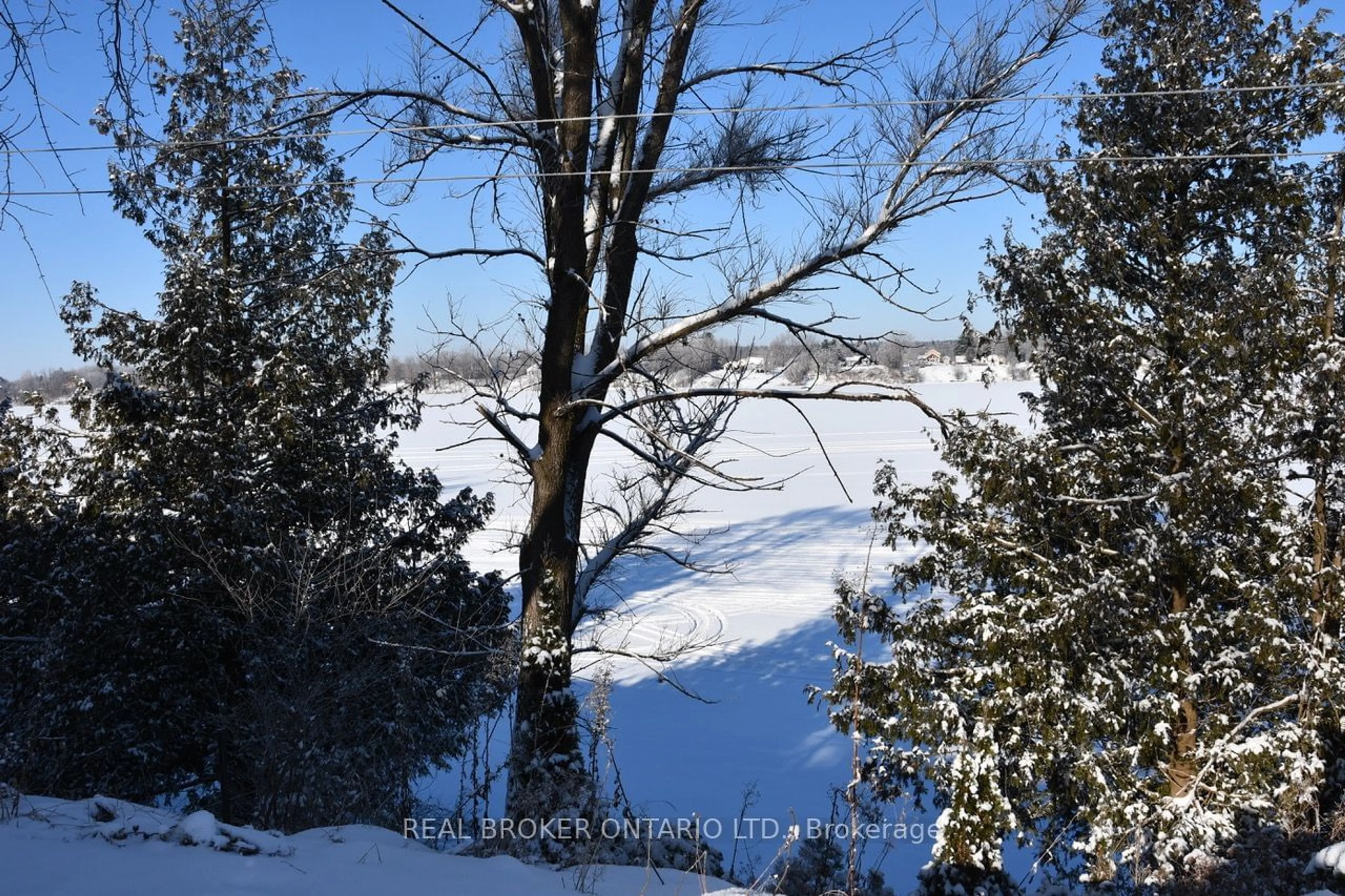 A pic from outside/outdoor area/front of a property/back of a property/a pic from drone, forest/trees view for 305 Concession Rd 1 Rd, Alfred and Plantagenet Ontario K0B 1L0