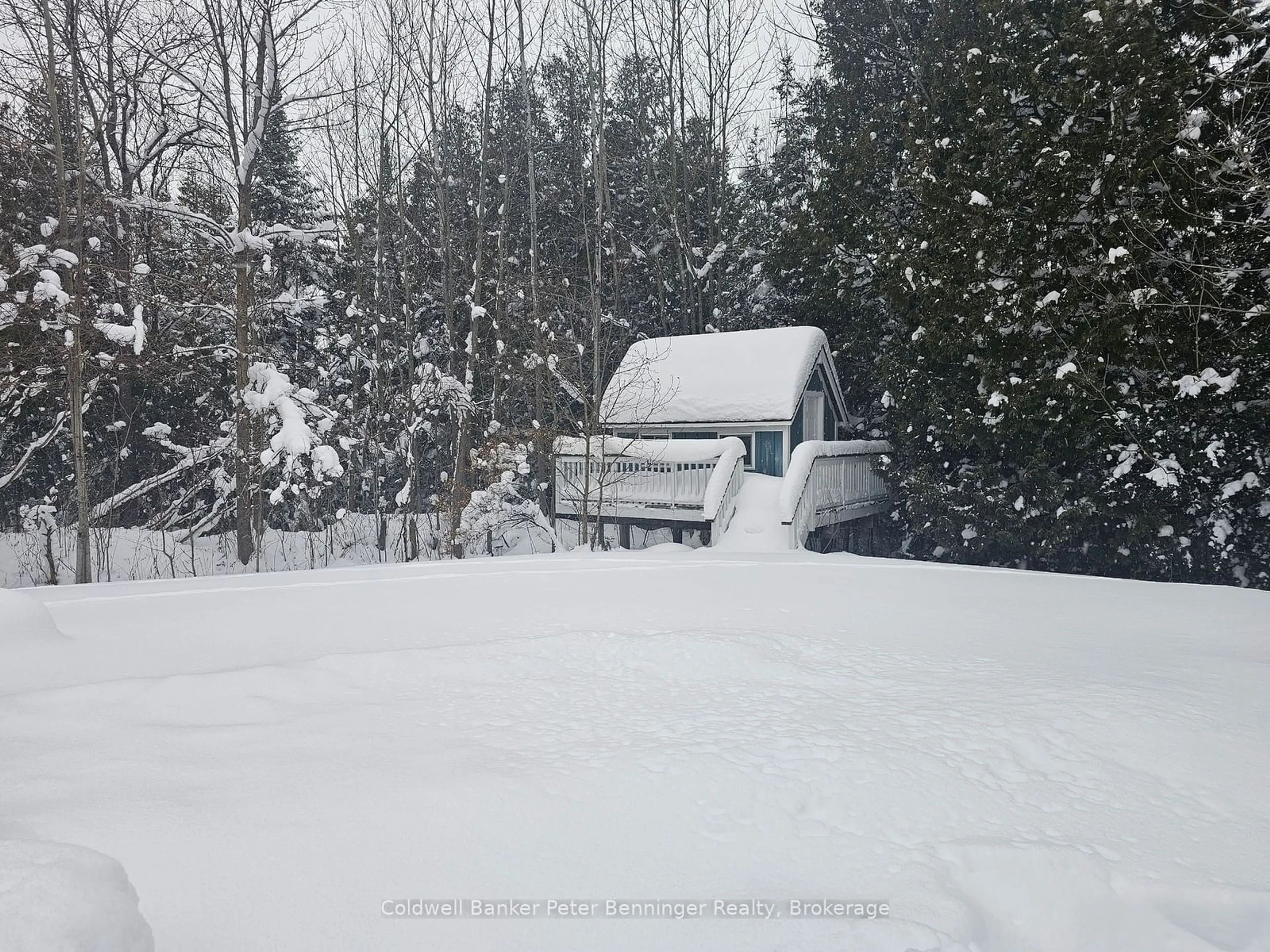 Unknown for 32 PINE FOREST Dr, South Bruce Peninsula Ontario N0H 1P0