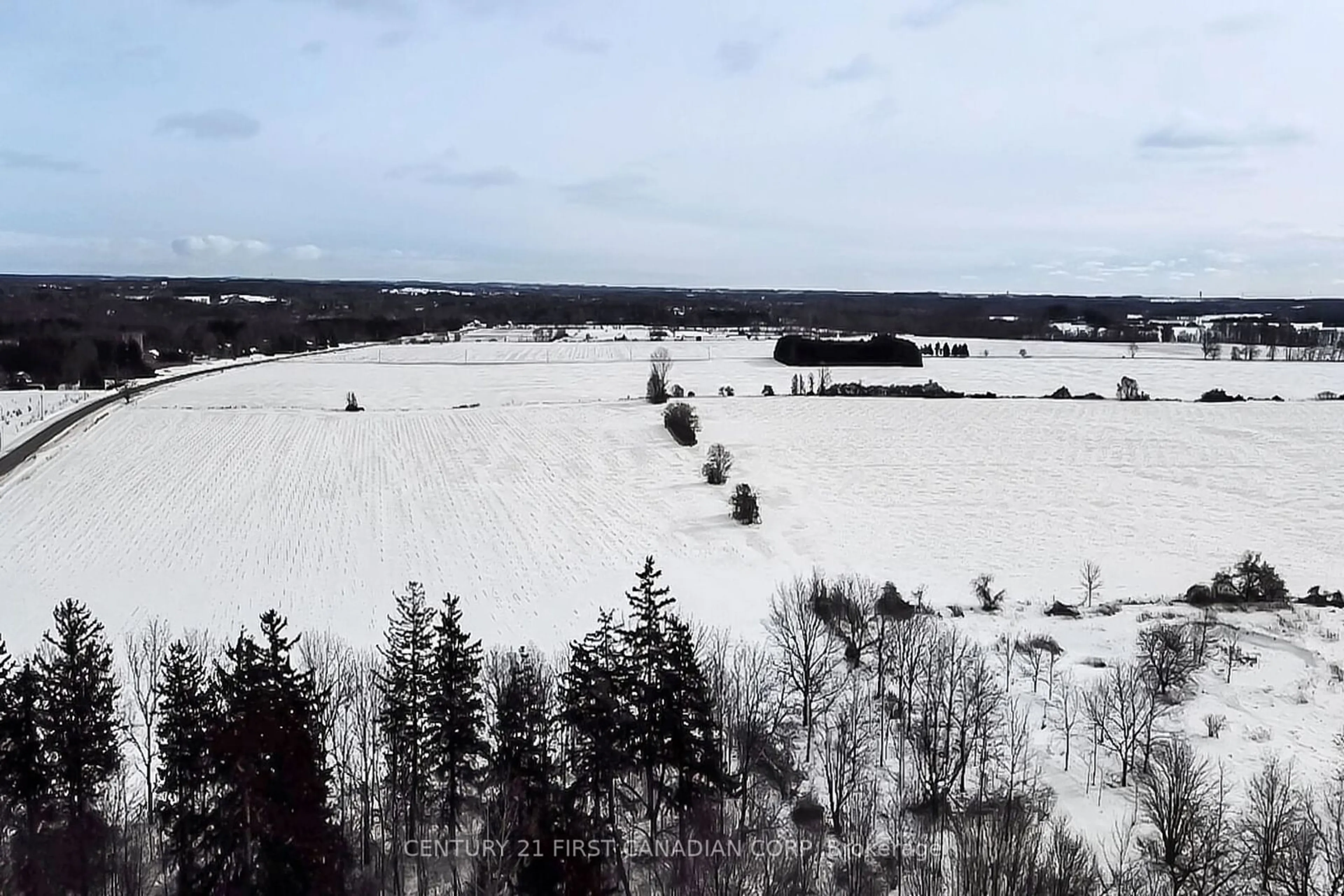 A pic from outside/outdoor area/front of a property/back of a property/a pic from drone, forest/trees view for 2735 Hamilton Rd, Thames Centre Ontario N0L 1G5